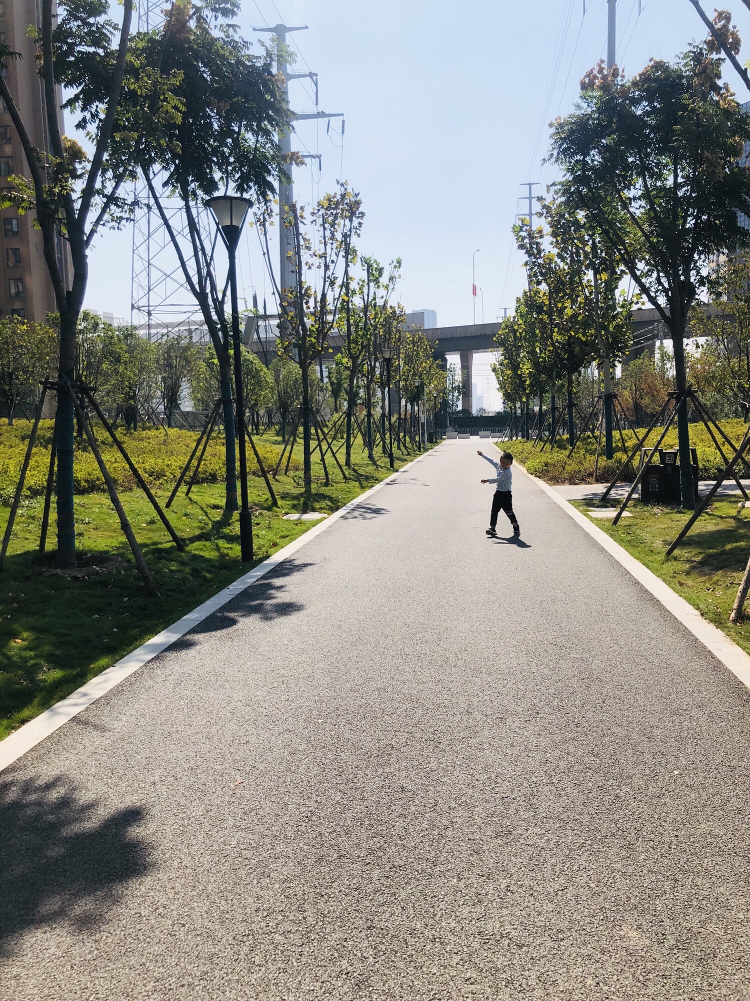 八坦路公园旅行图片 2