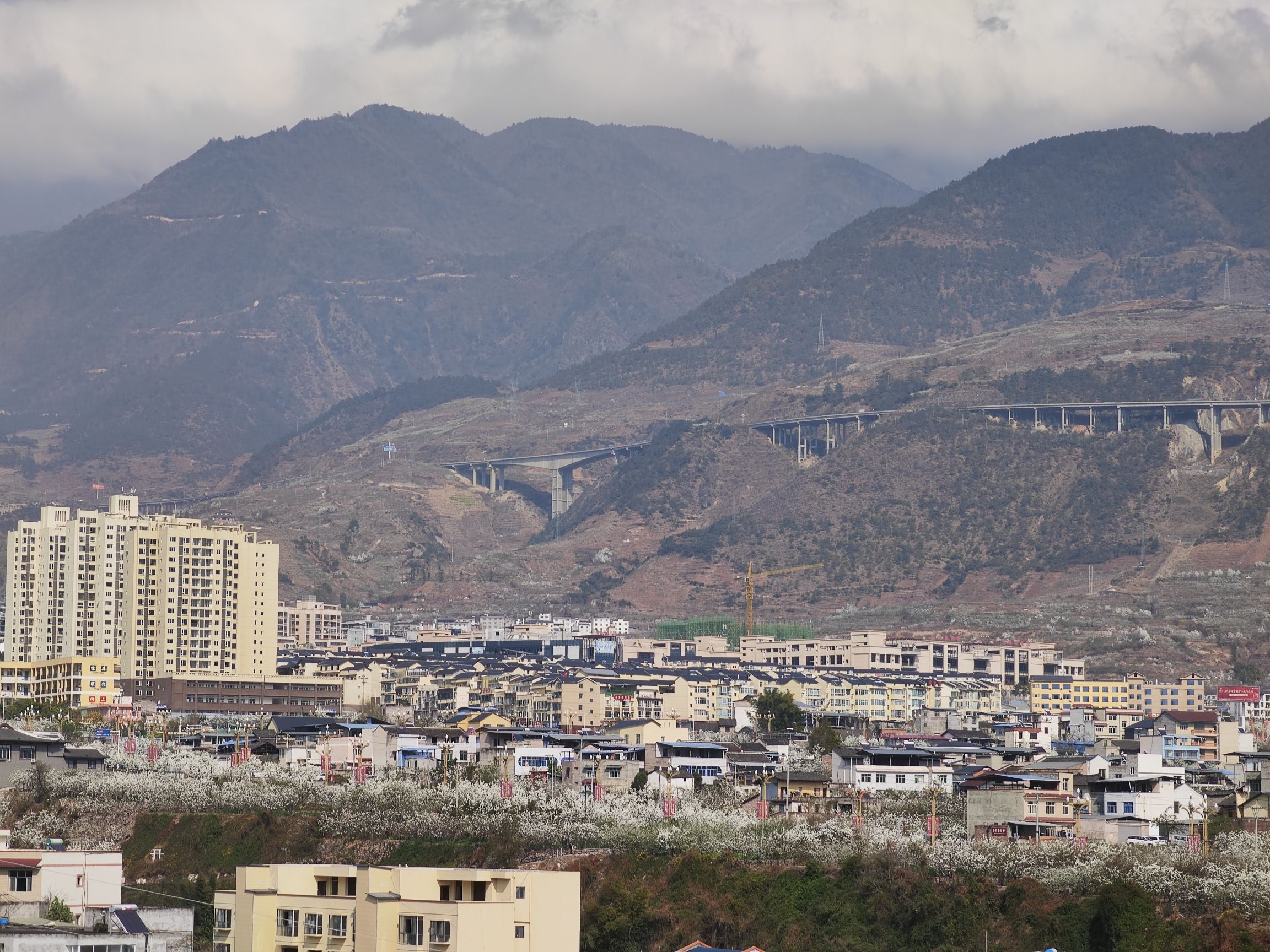 大田文化墙记旅行图片 3