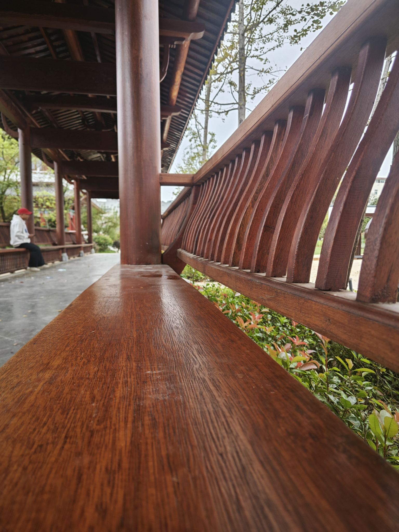 灵泉池公园旅行图片 3