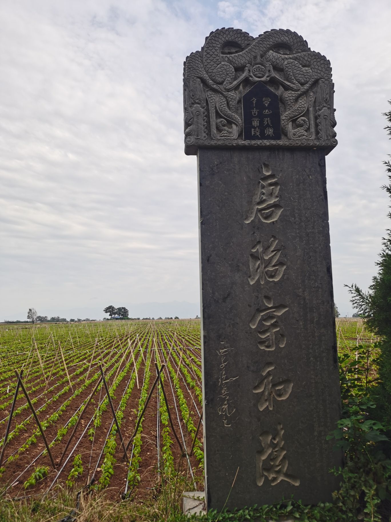 唐昭宗和陵旅行图片 1
