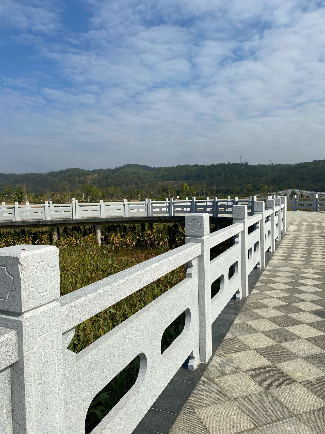苍海国家湿地公园旅行图片 2