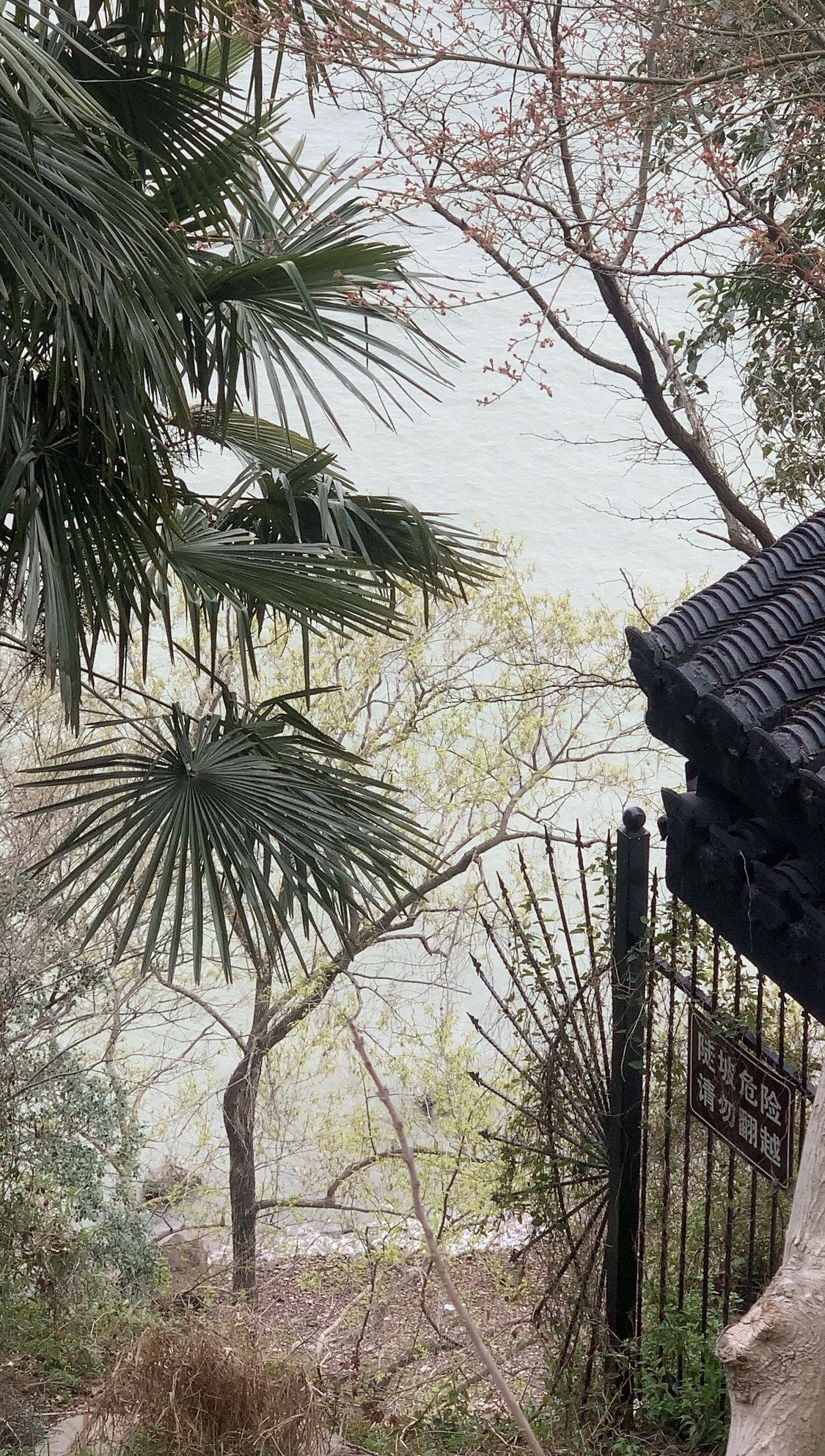 龙爪岩滨江风光带旅行图片 3