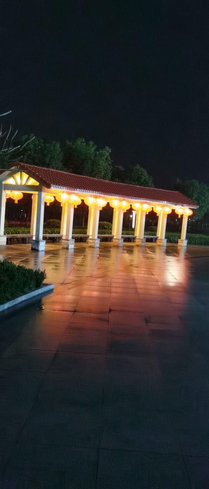 龙津园旅行图片 2