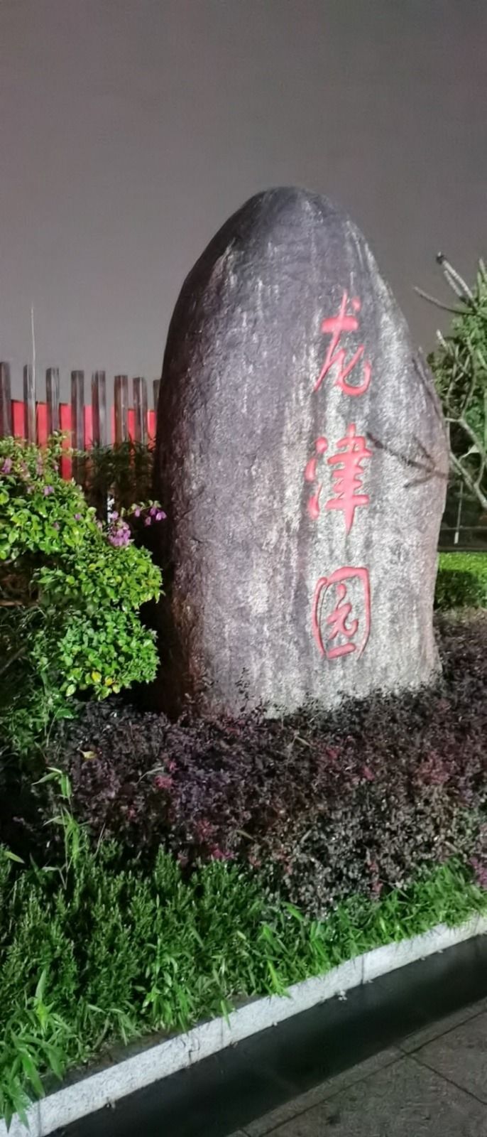 龙津园旅行图片 1