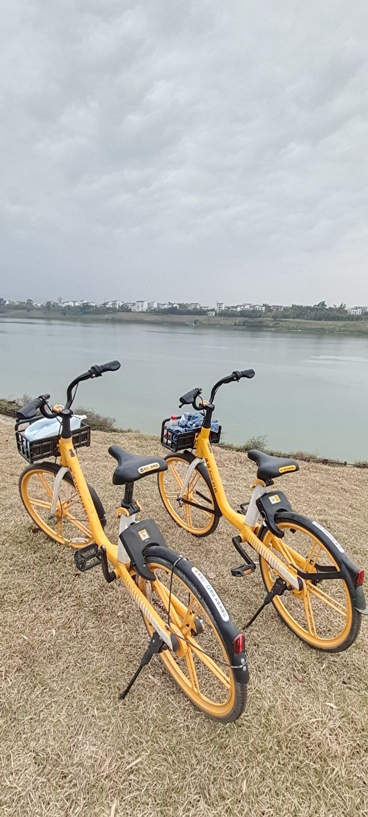 邕江北岸公园旅行图片 2