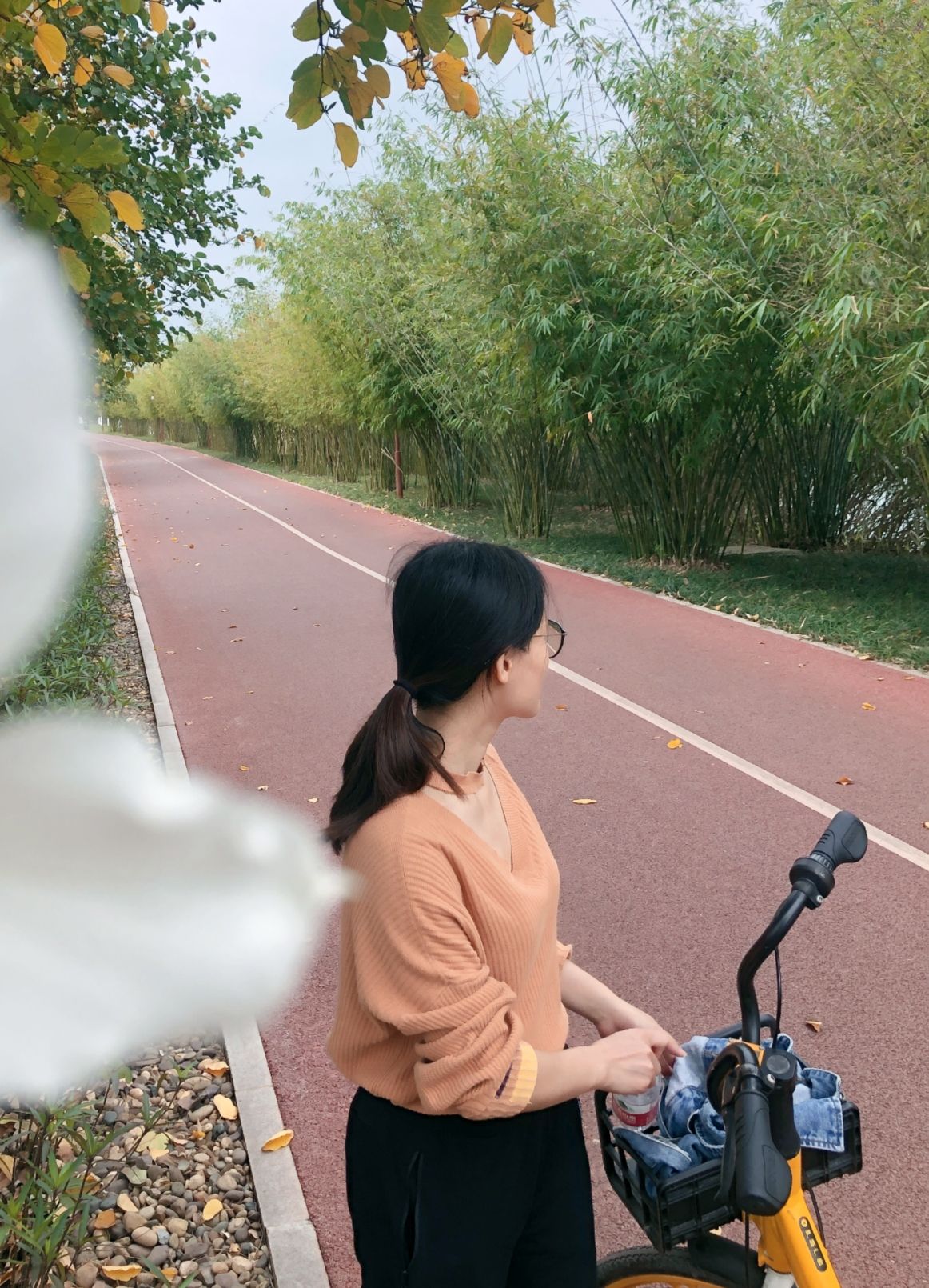 邕江北岸公园旅行图片 1