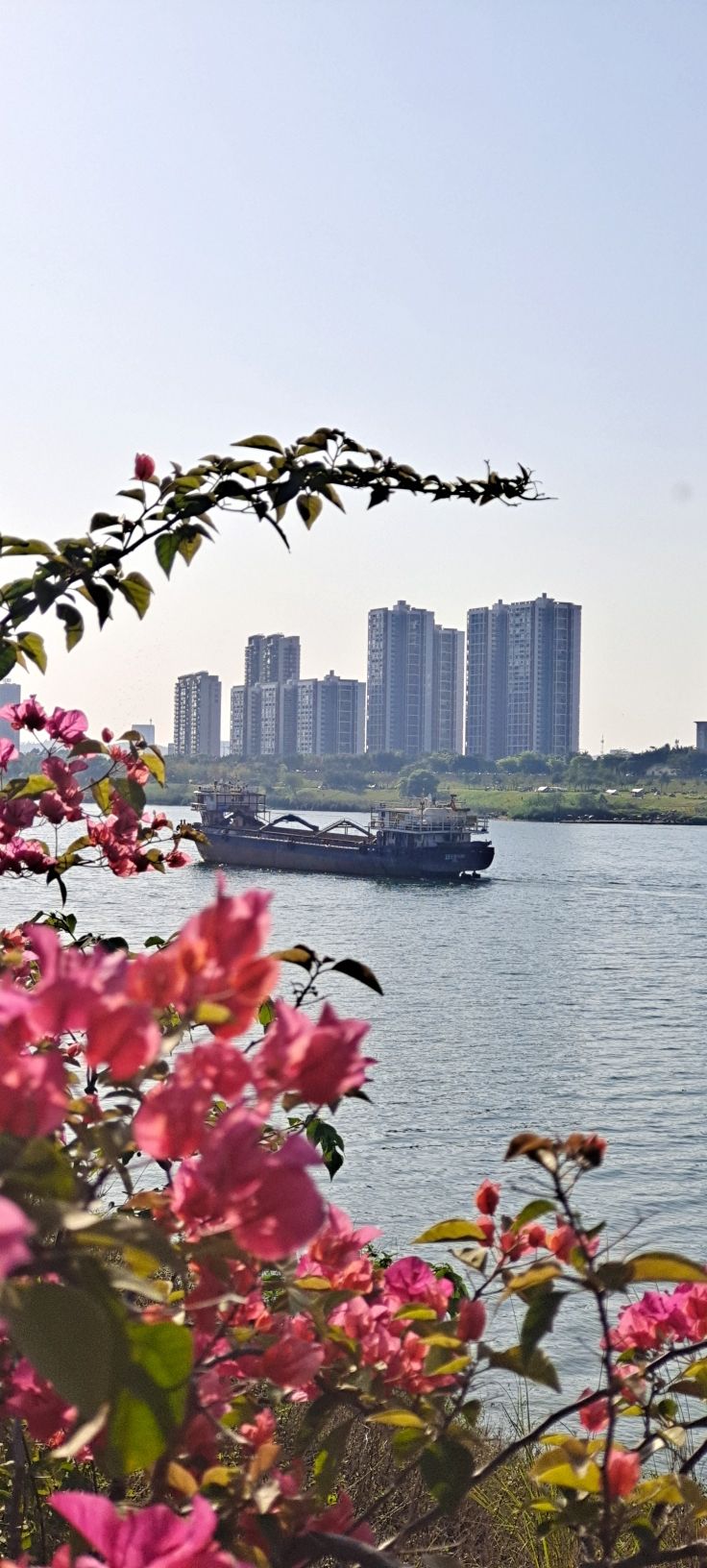 邕江北岸公园旅行图片 3