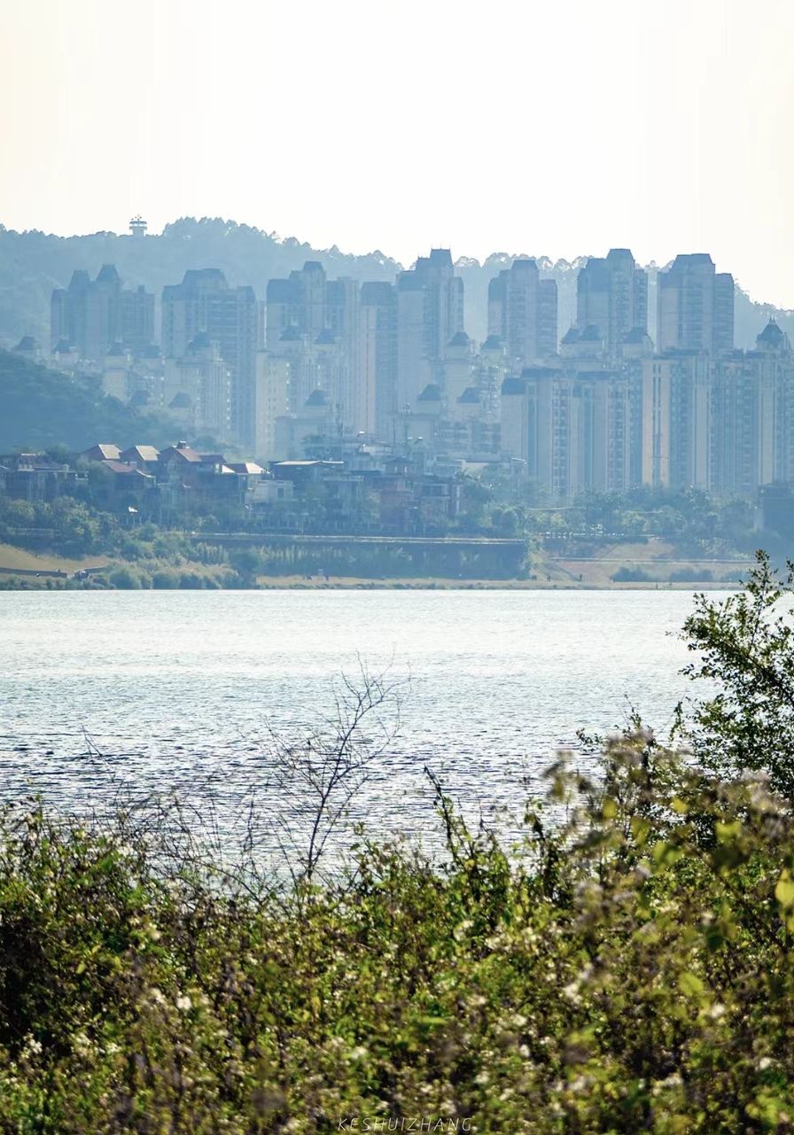 邕江北岸公园旅行图片 2