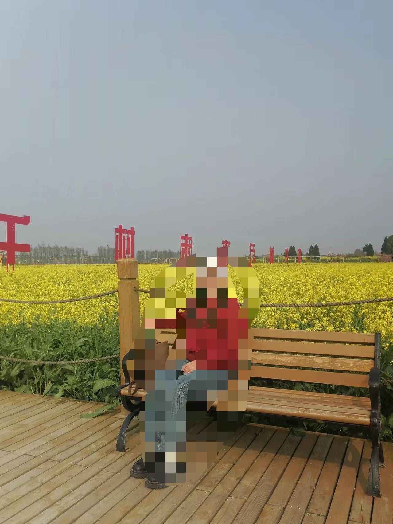 薪火双桥油菜花海旅行图片 2