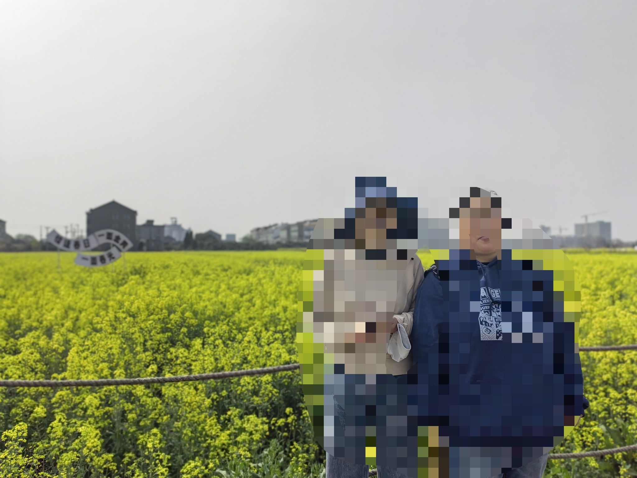 薪火双桥油菜花海旅行图片 3