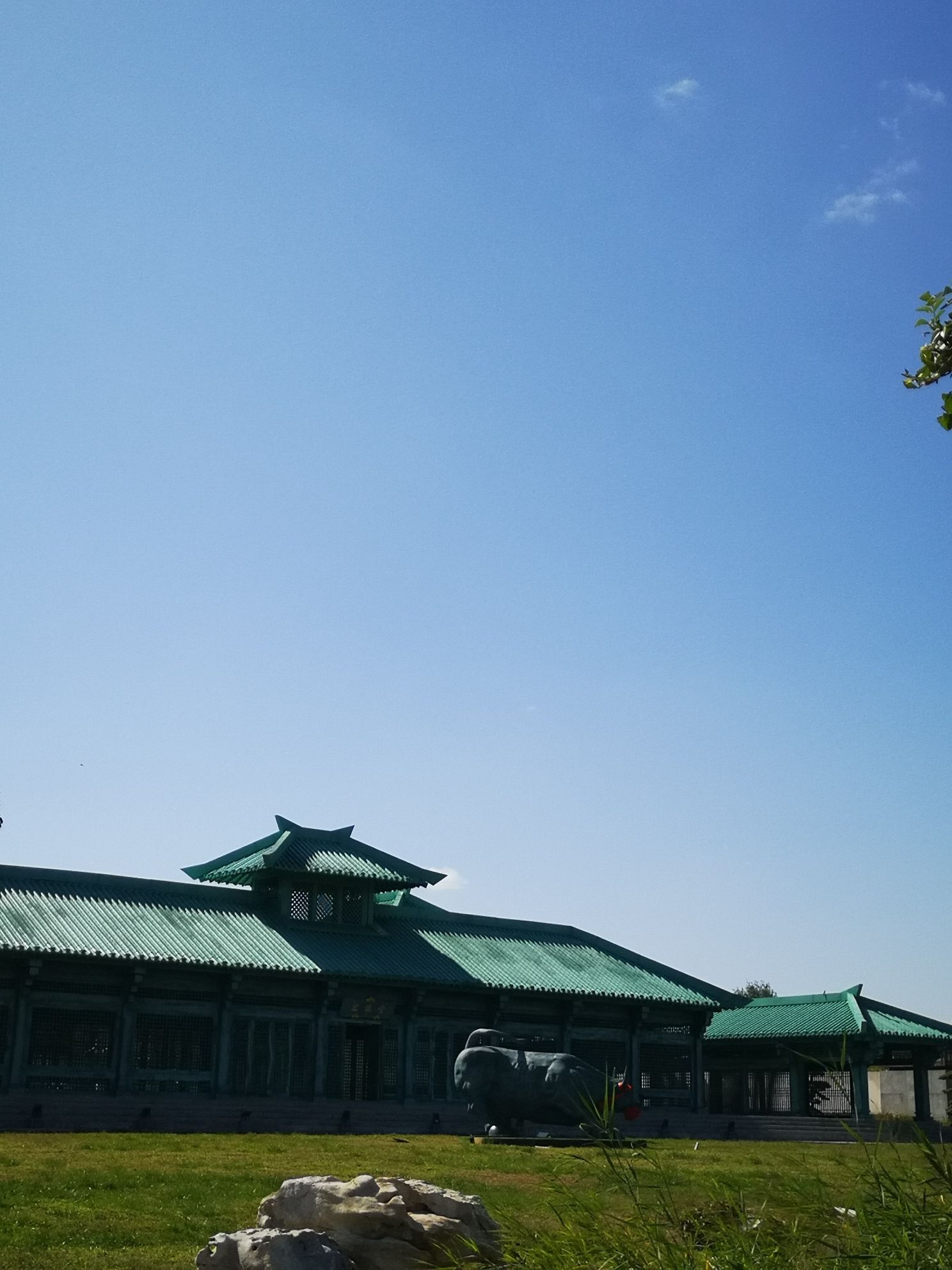宏济堂中医药文化旅游景区旅行图片 1