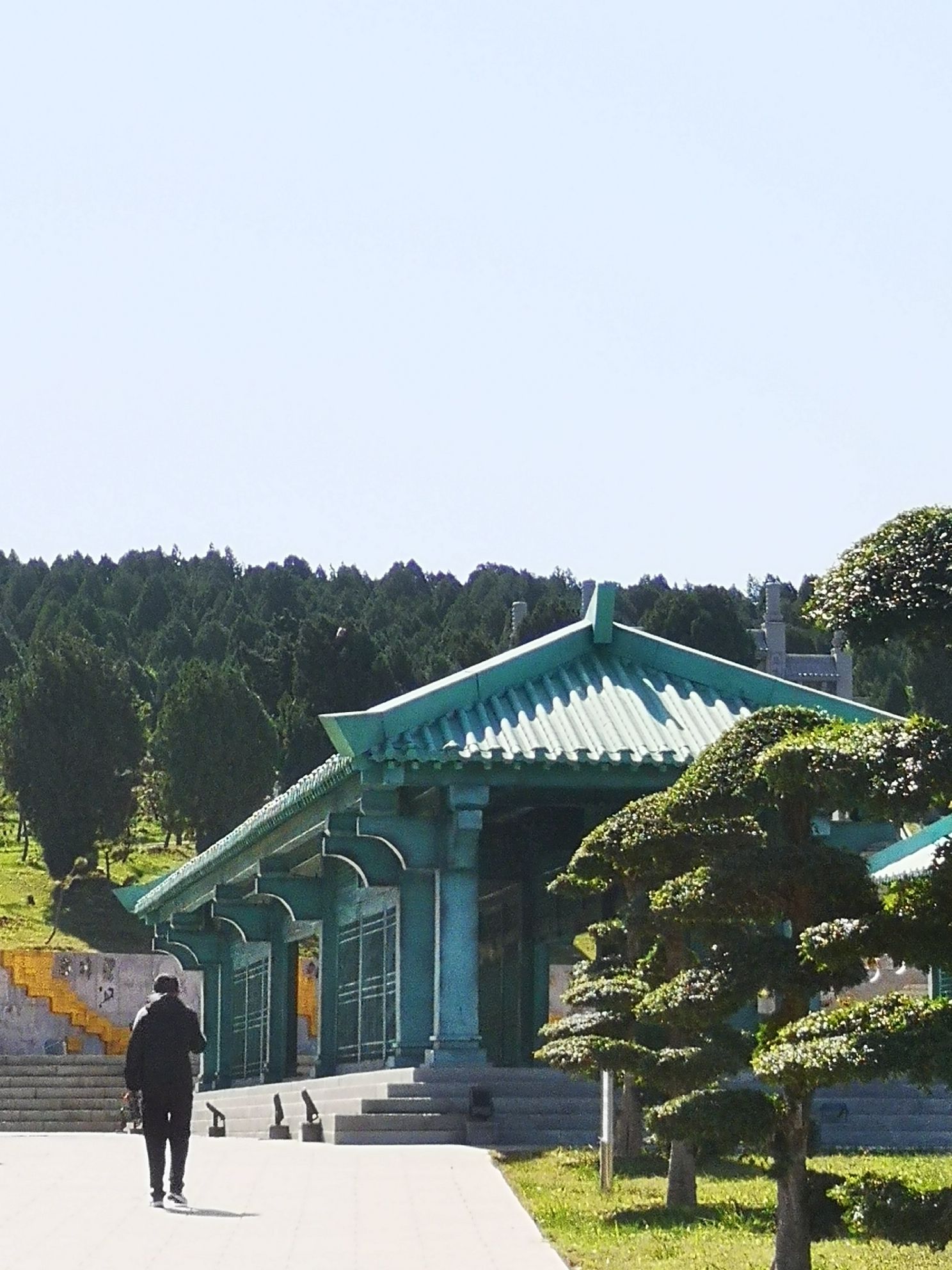 宏济堂中医药文化旅游景区旅行图片 2