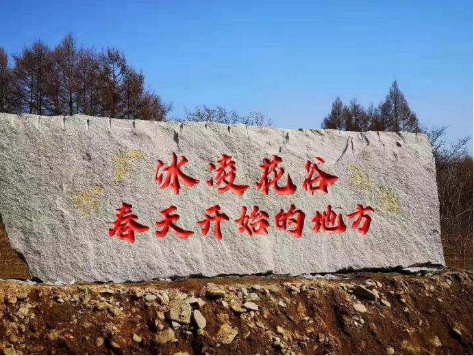 哨子河乡冰凌花谷旅行图片 2