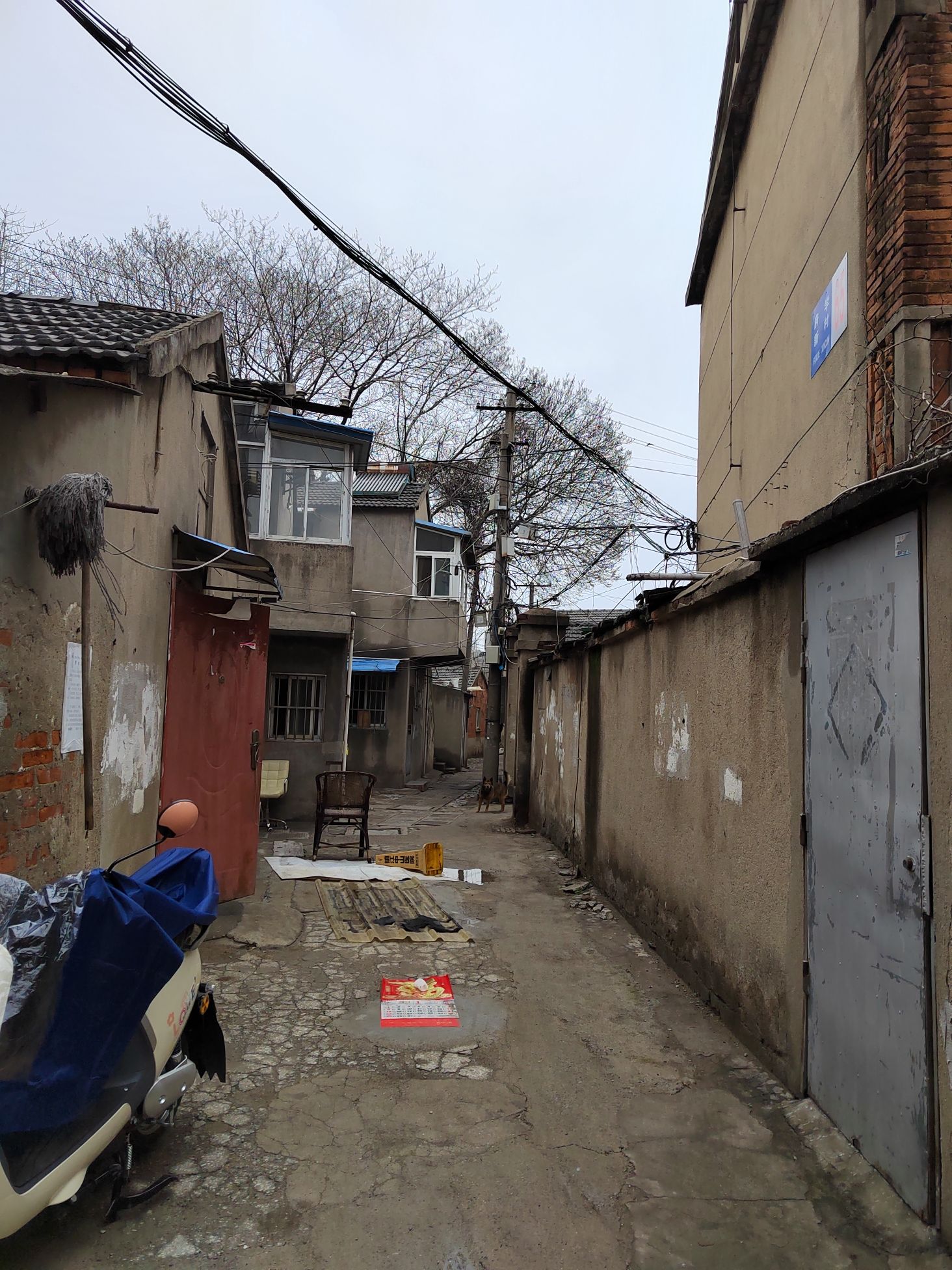 汉荆王墓旅行图片 1