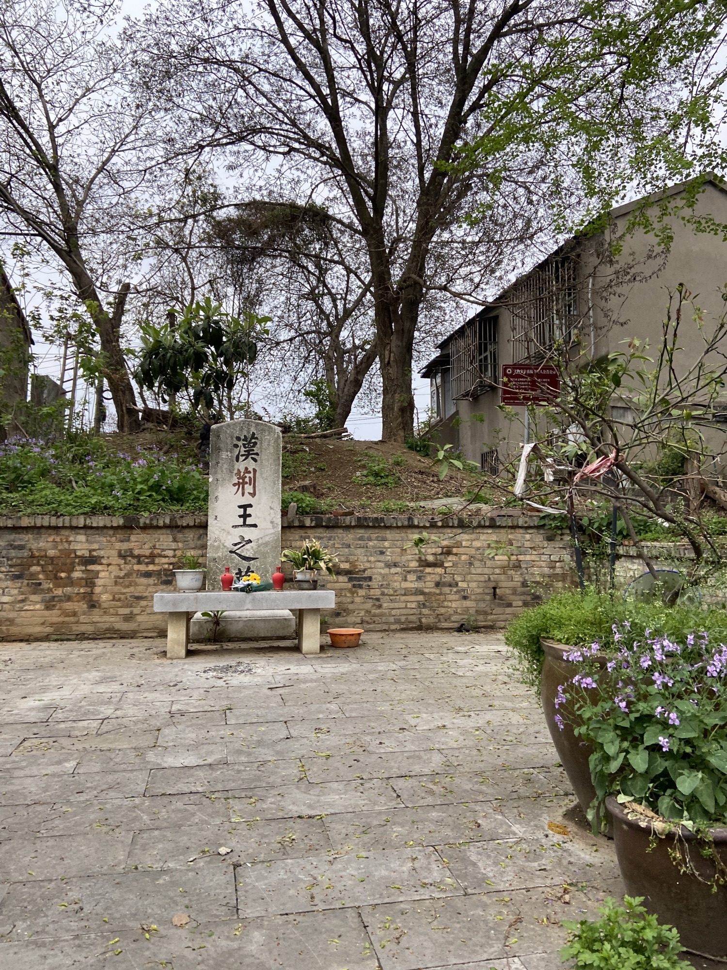 汉荆王墓旅行图片 2