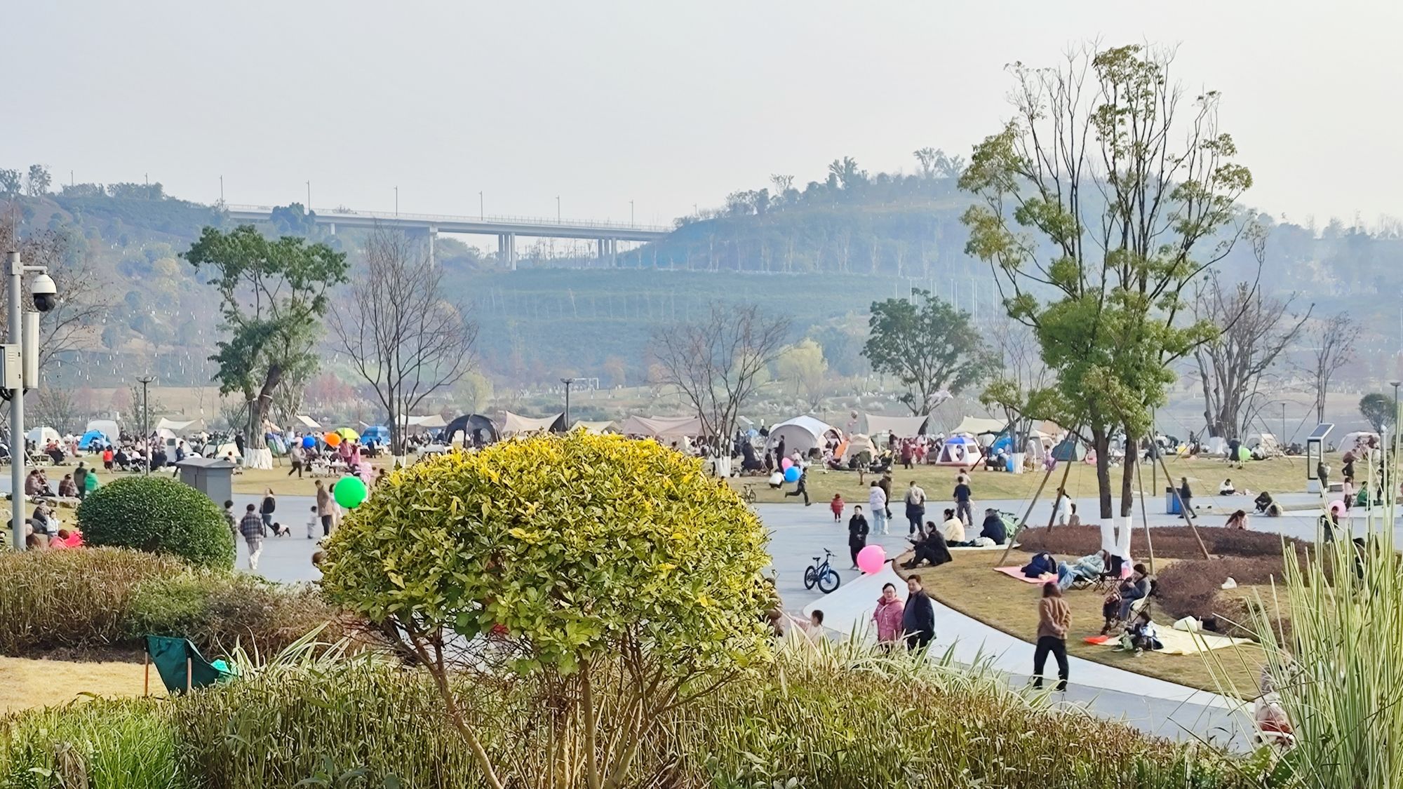 凤栖湖公园旅行图片 1
