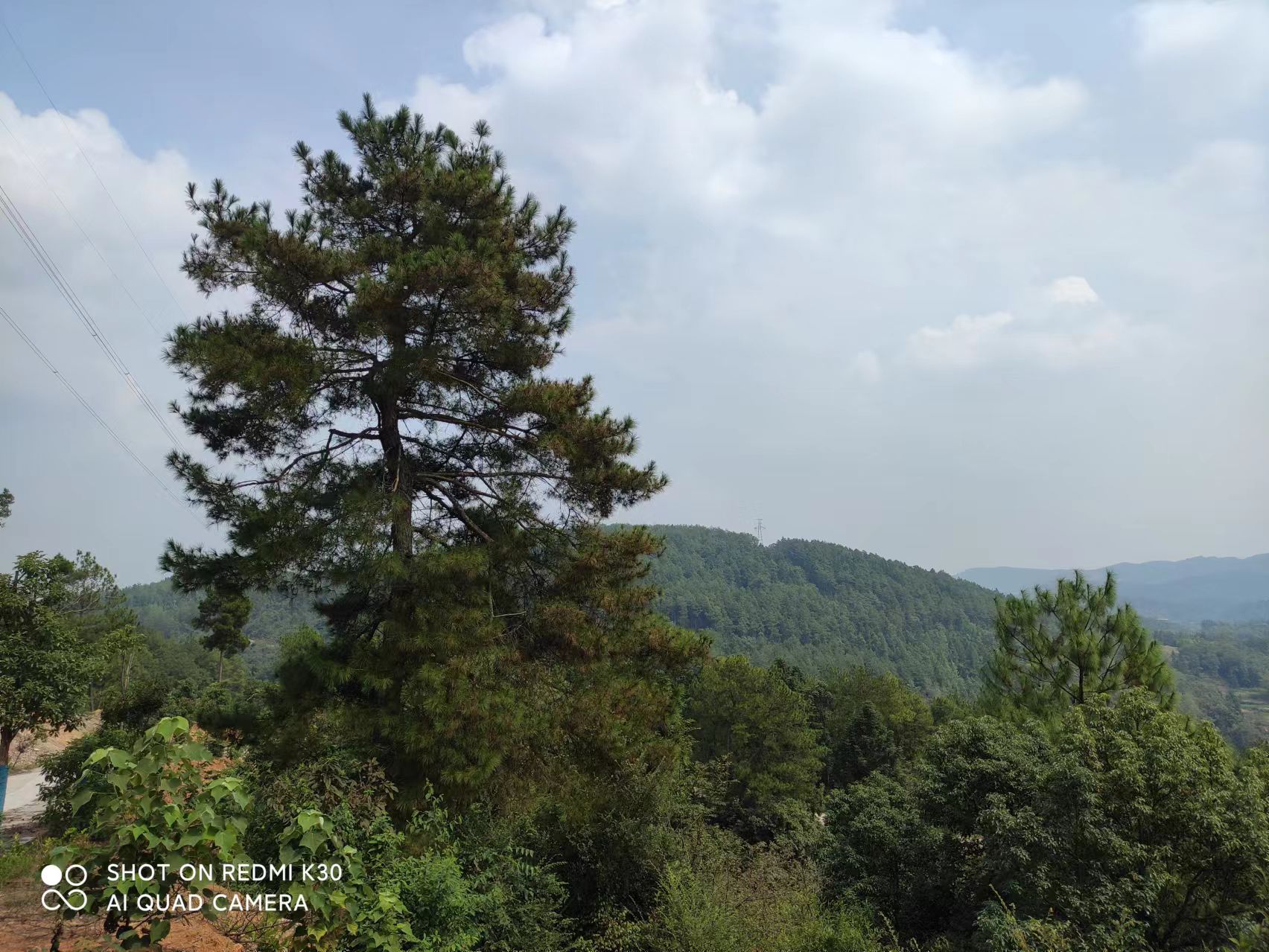 天龙山药王谷旅行图片 2