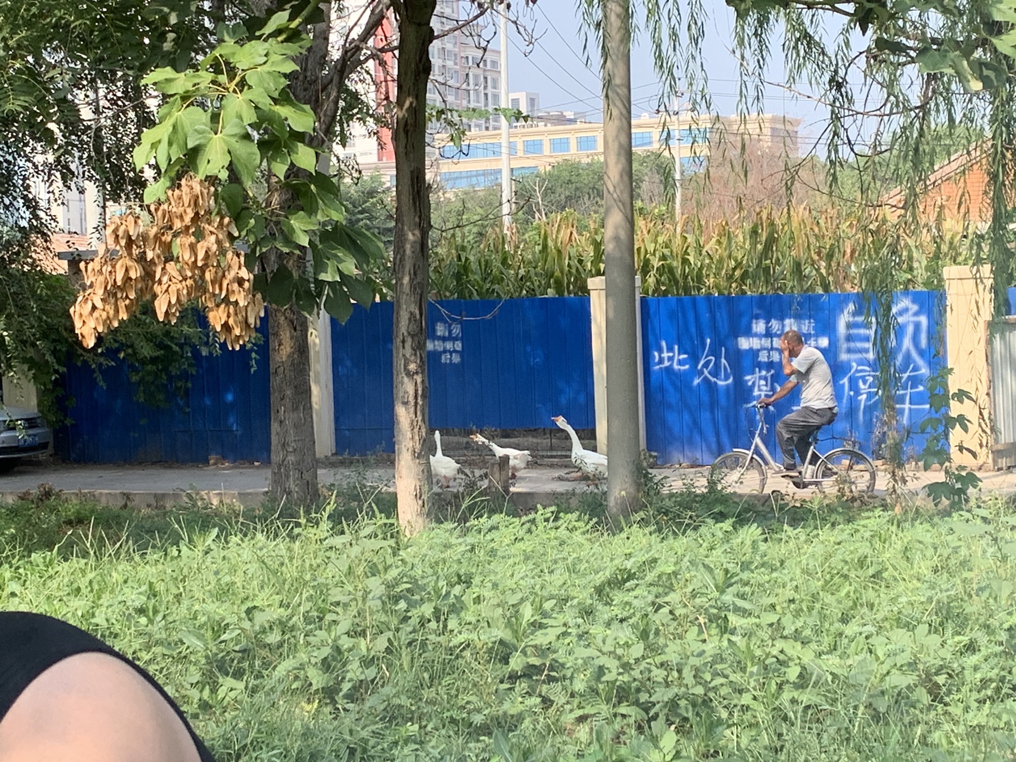 运畔公园旅行图片 1