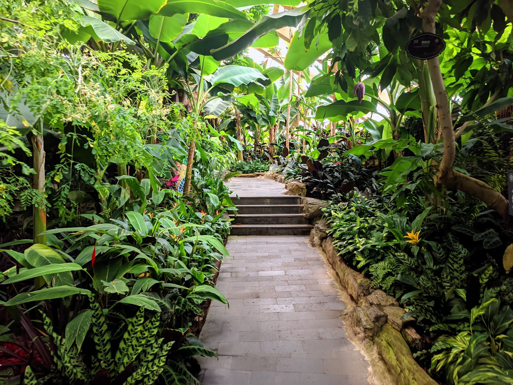 太原植物园-一号馆