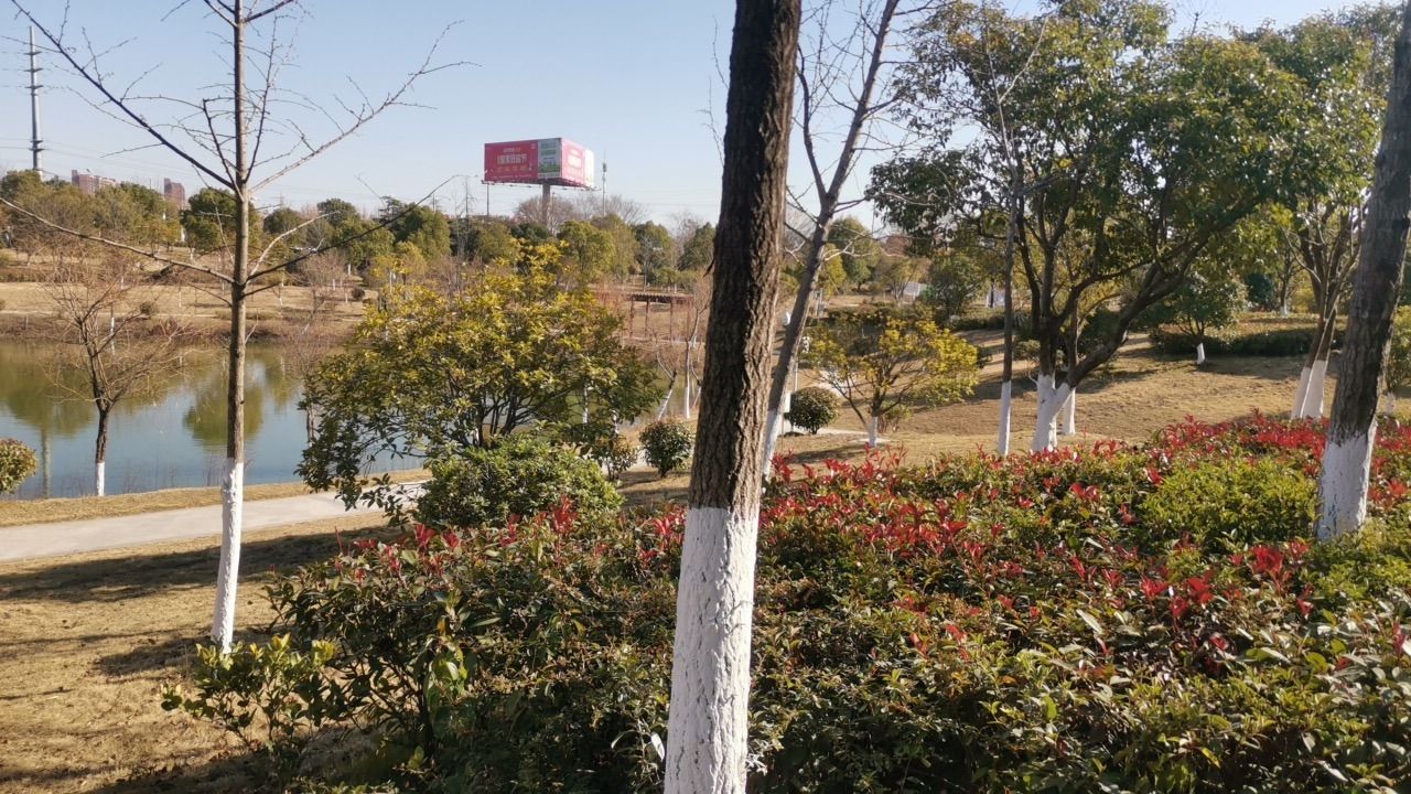 遗忘公园