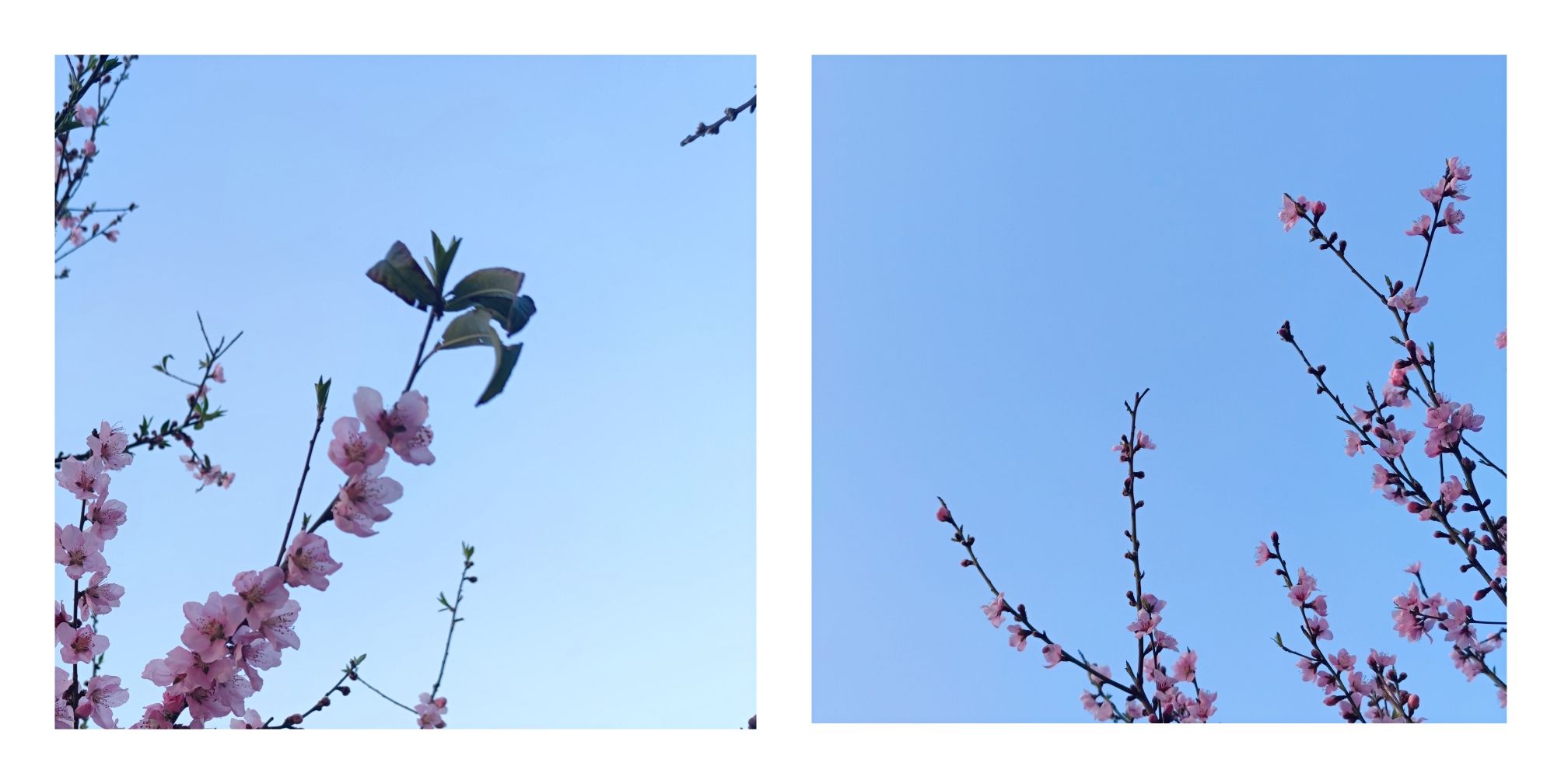 海丝生态公园旅行图片 1