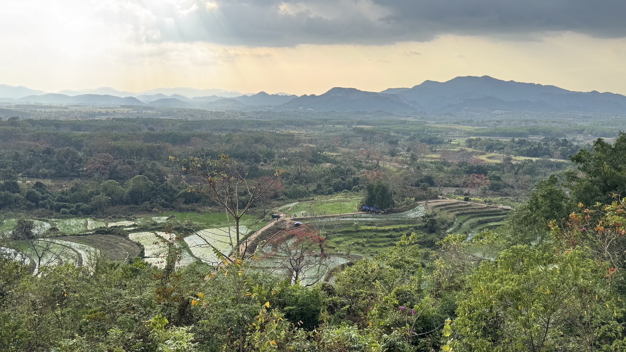 木棉景区