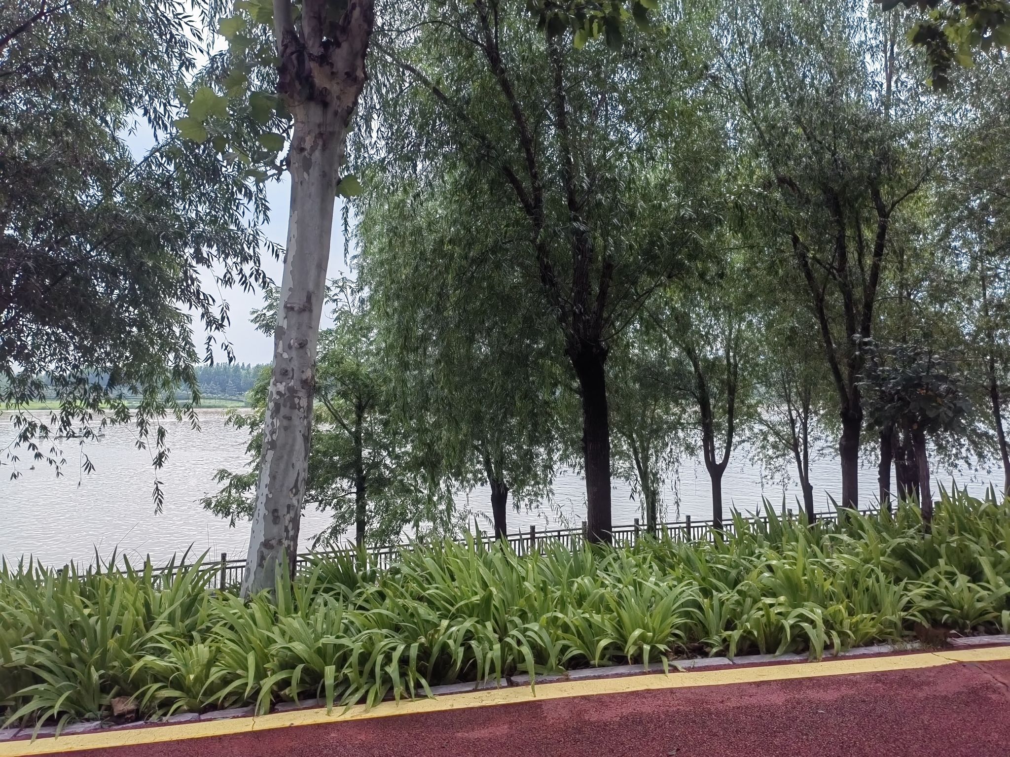 淇河生态主题公园旅行图片 2