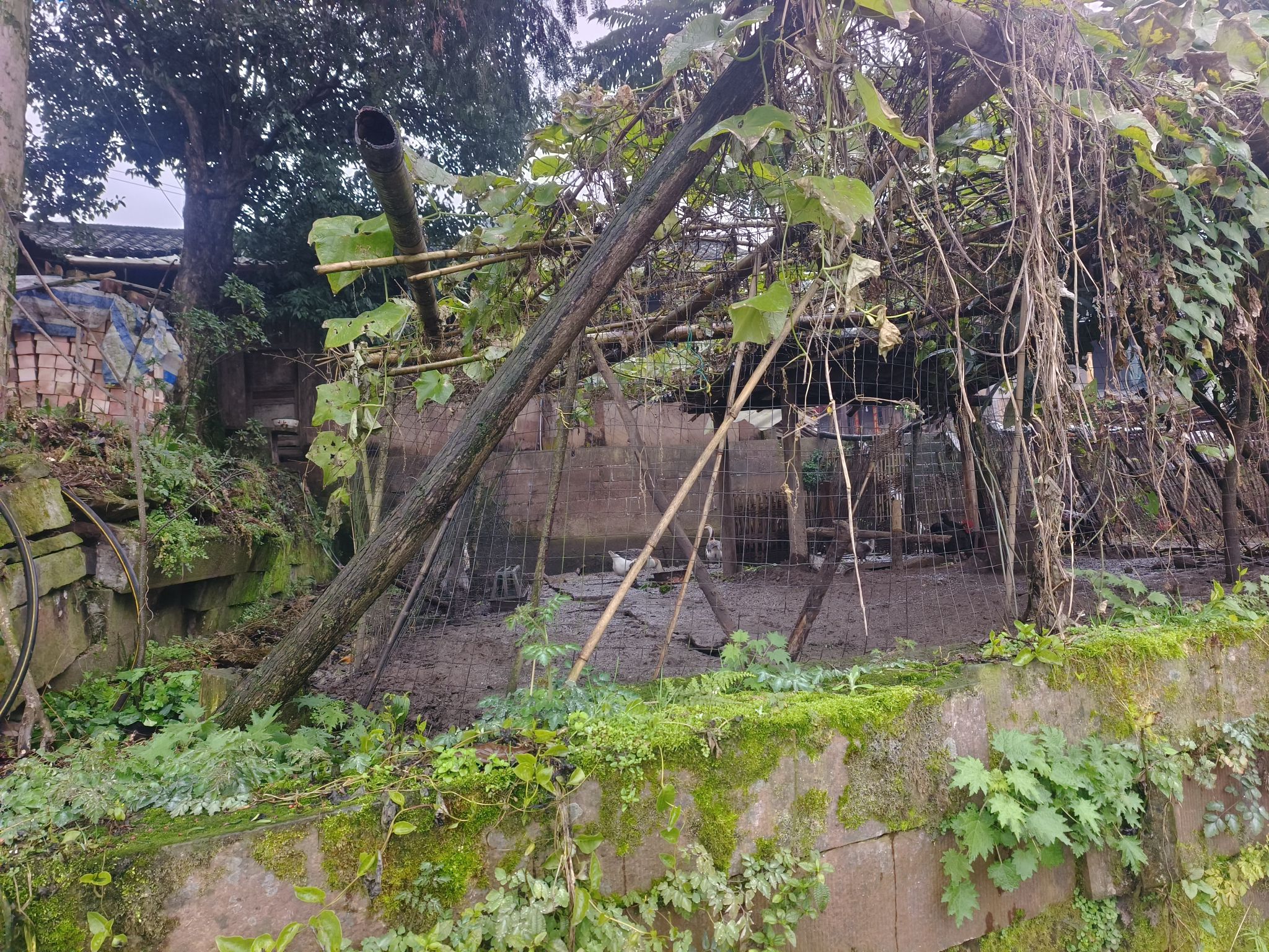 范山古村落旅行图片 3
