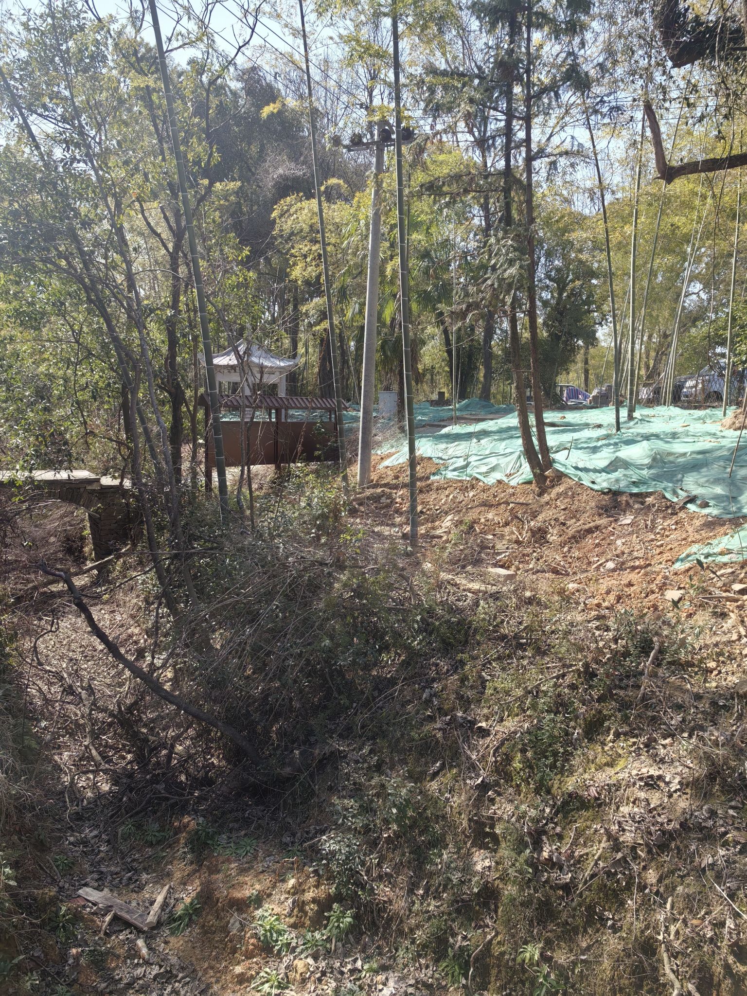 金溪游垫古村景区旅行图片 3