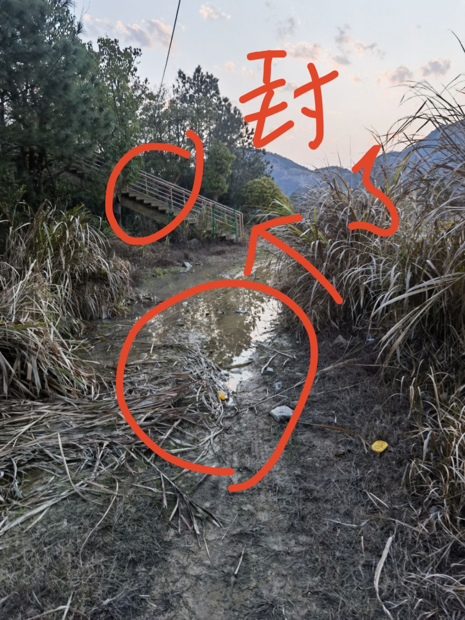 金溪游垫古村景区旅行图片 2