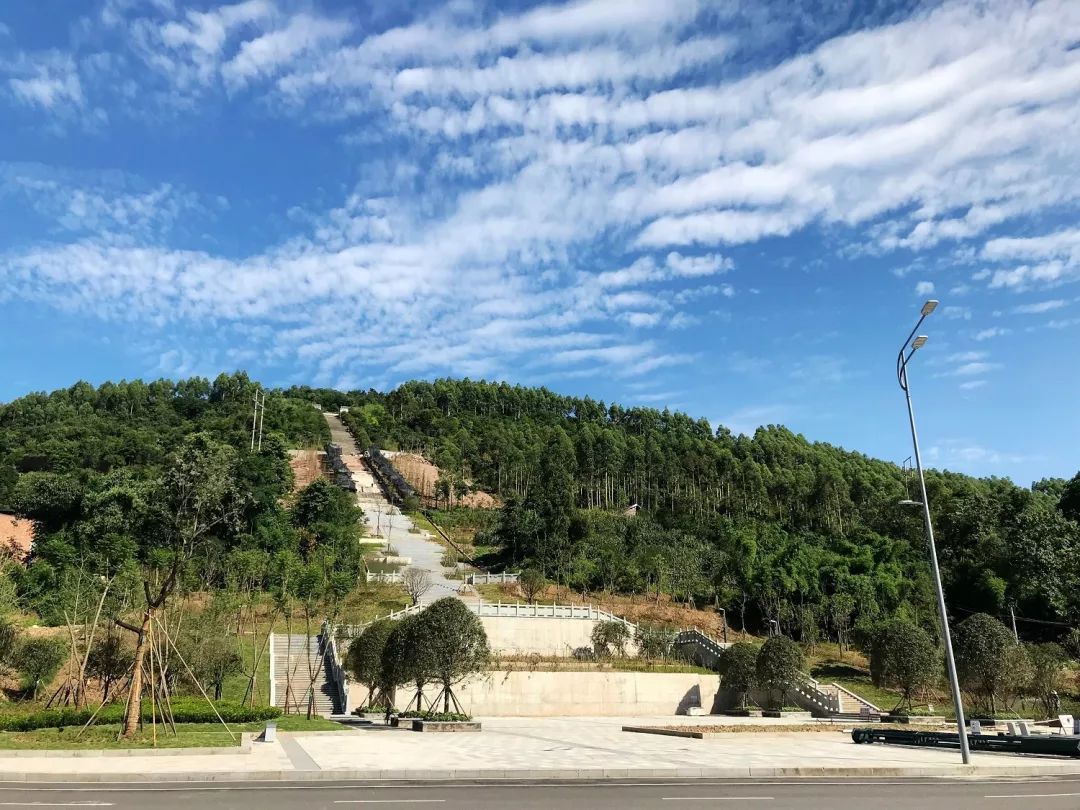 天宝寨森林公园旅行图片 2