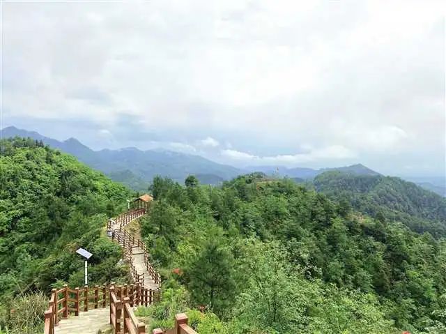 天宝寨森林公园旅行图片 3