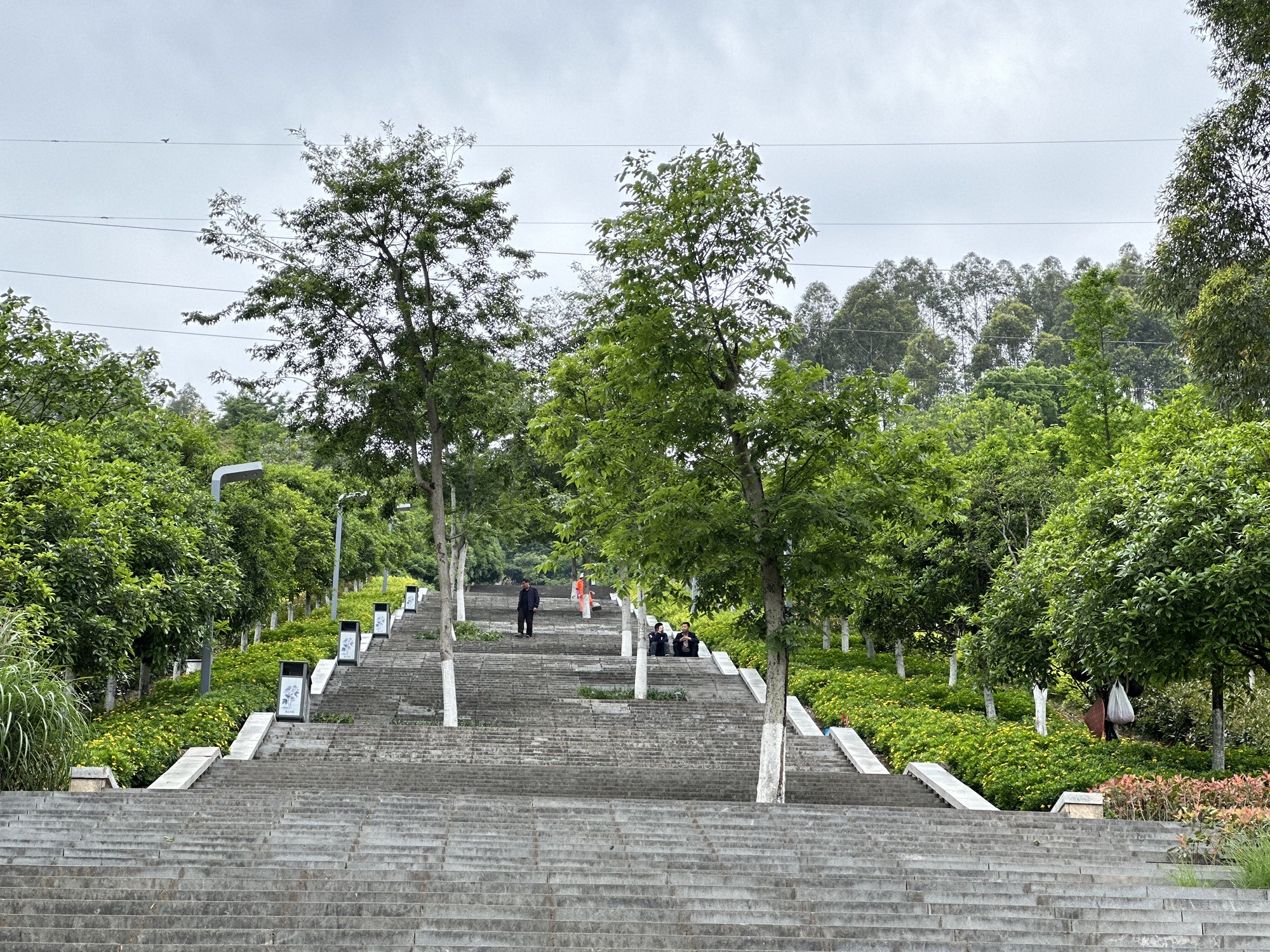 天宝寨森林公园旅行图片 2