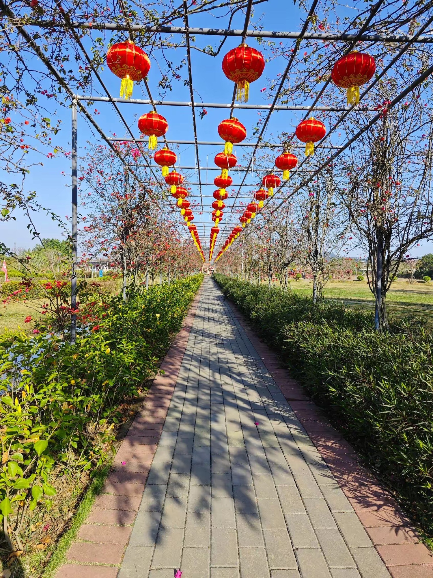 岭南大地百草园旅行图片 2
