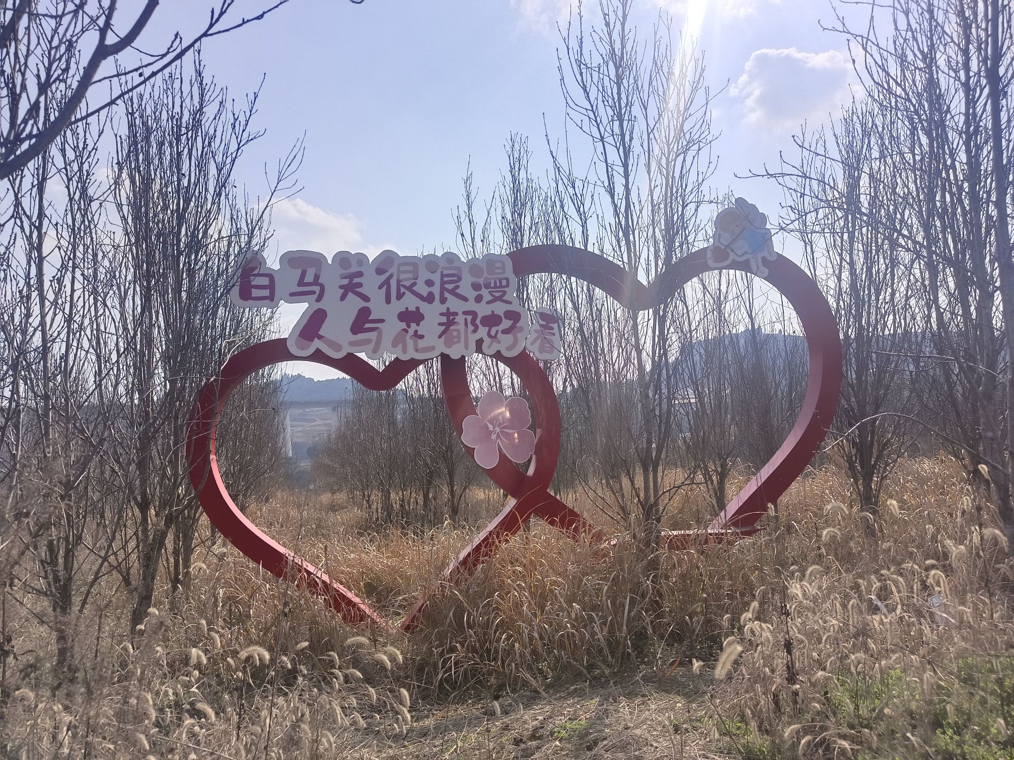 白龙谷桃花山旅行图片 1