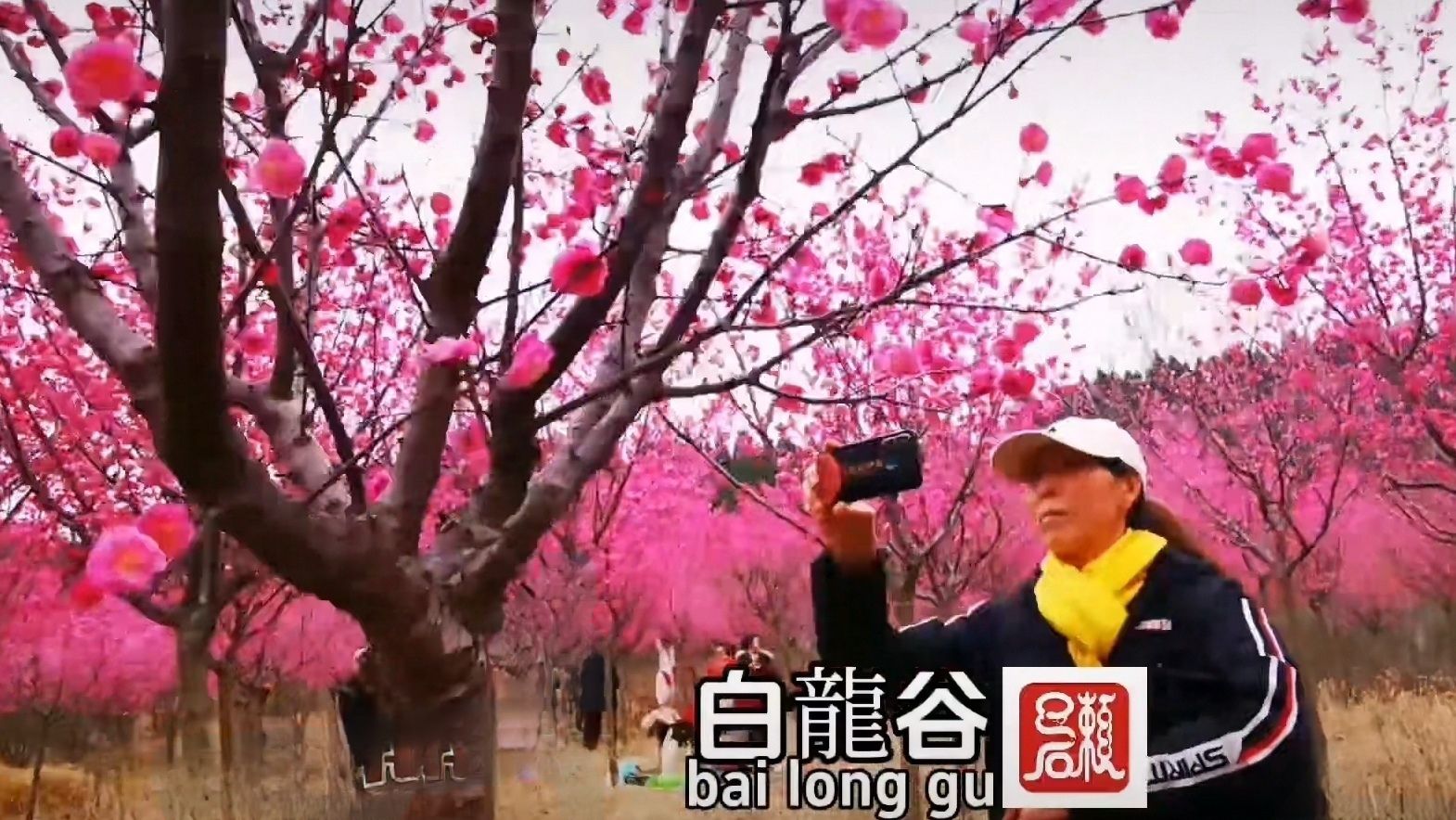 白龙谷桃花山旅行图片 1