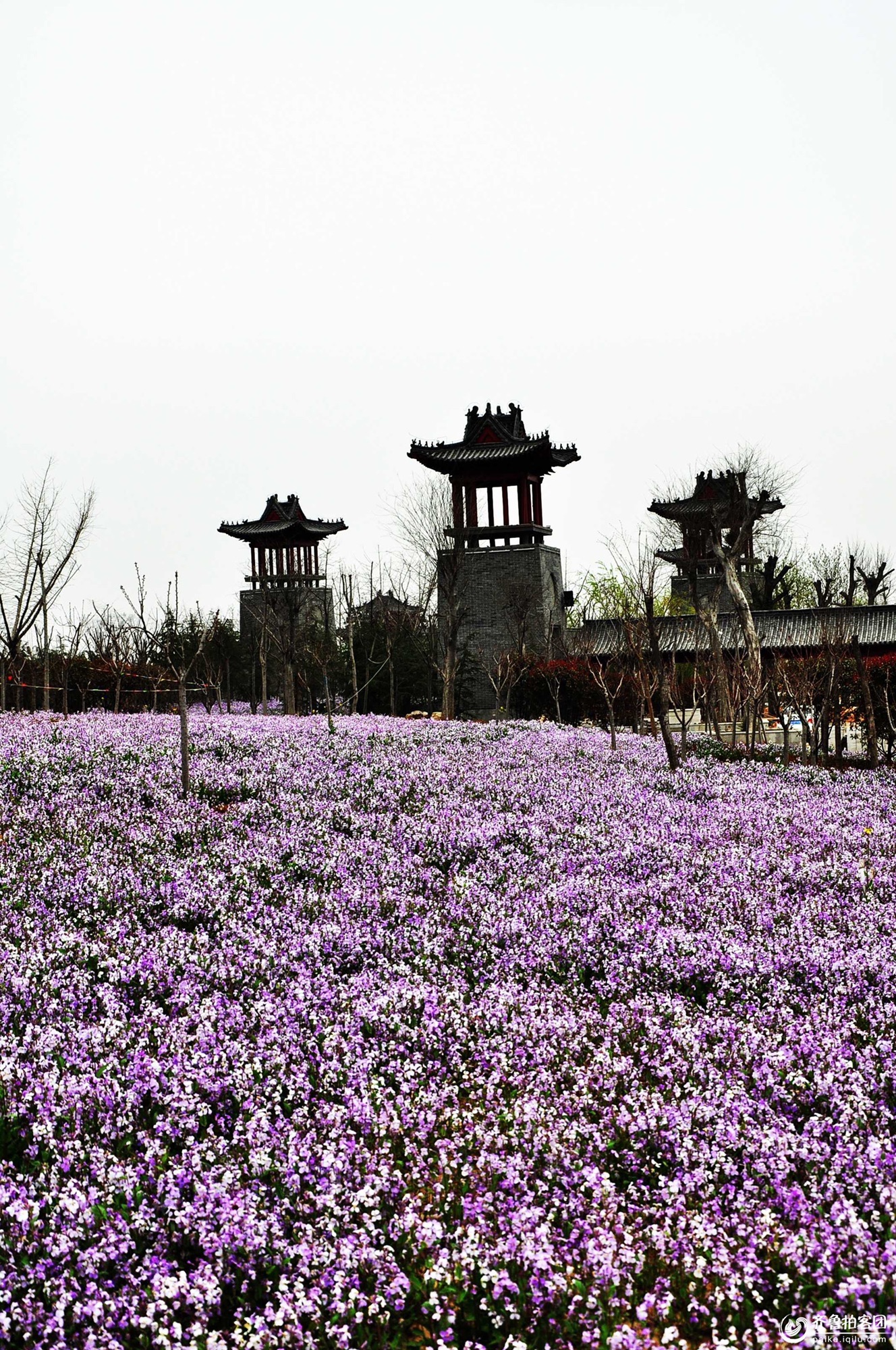 蓼河公园亲水沙滩旅行图片 1