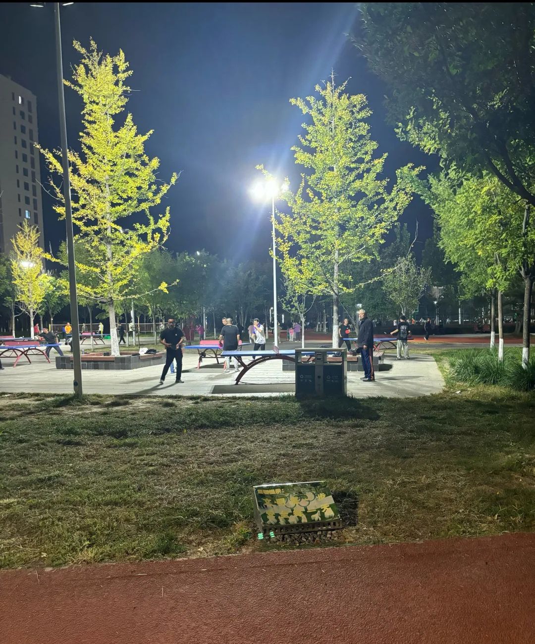 寒亭体育公园旅行图片 3