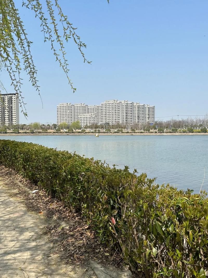 金水湖公园旅行图片