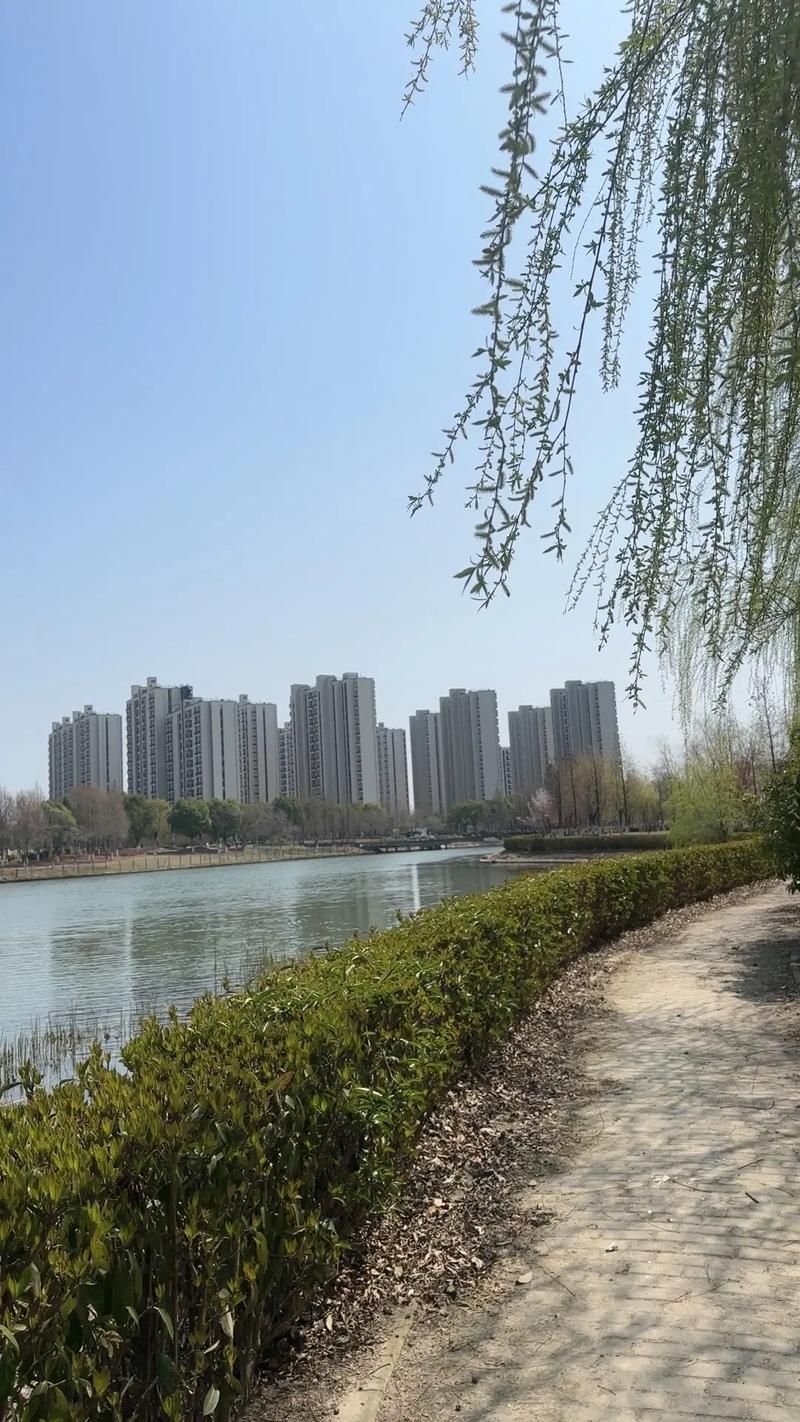 金水湖公园旅行图片 3