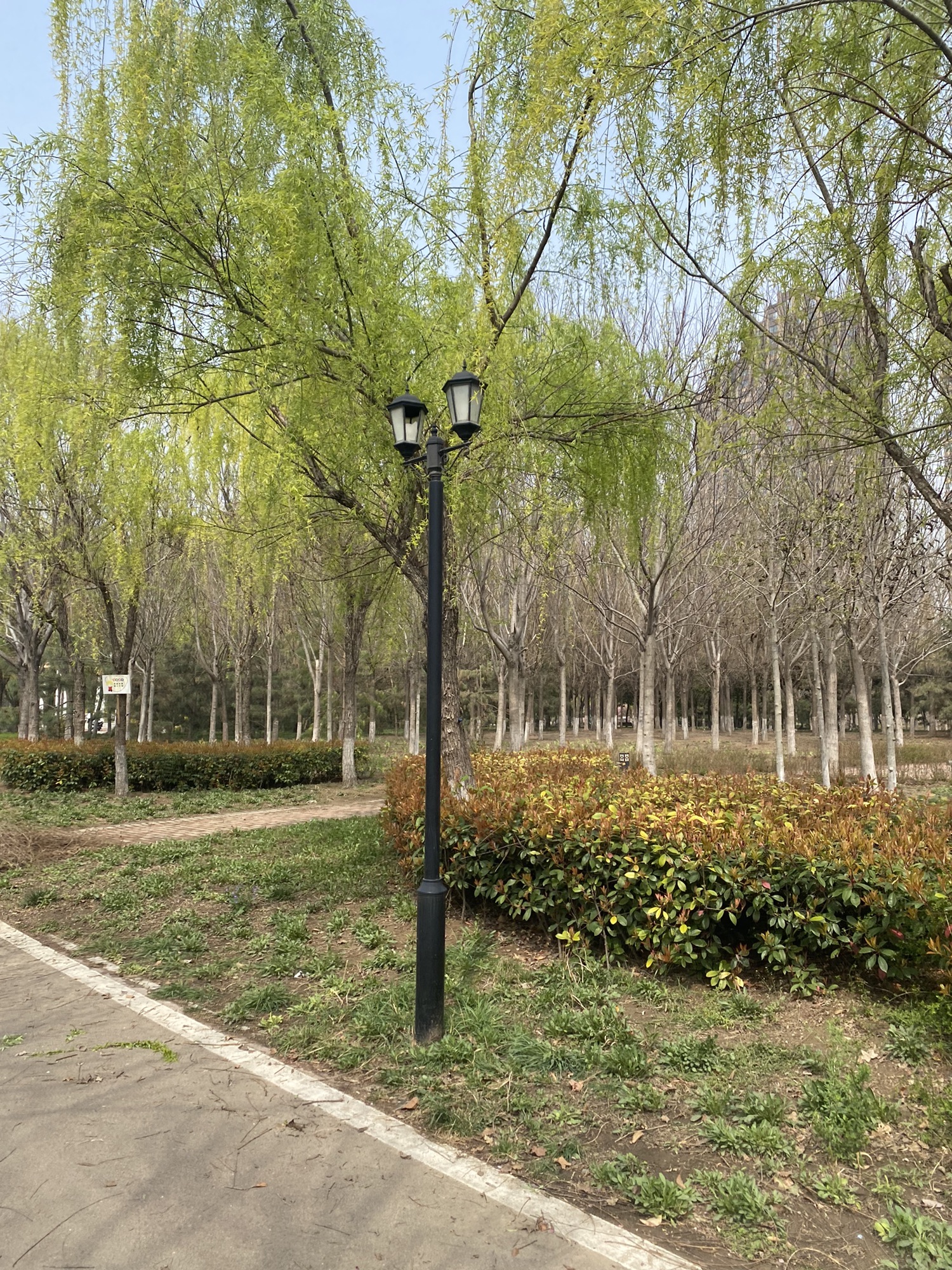 运河公园-西小站旅行图片 1