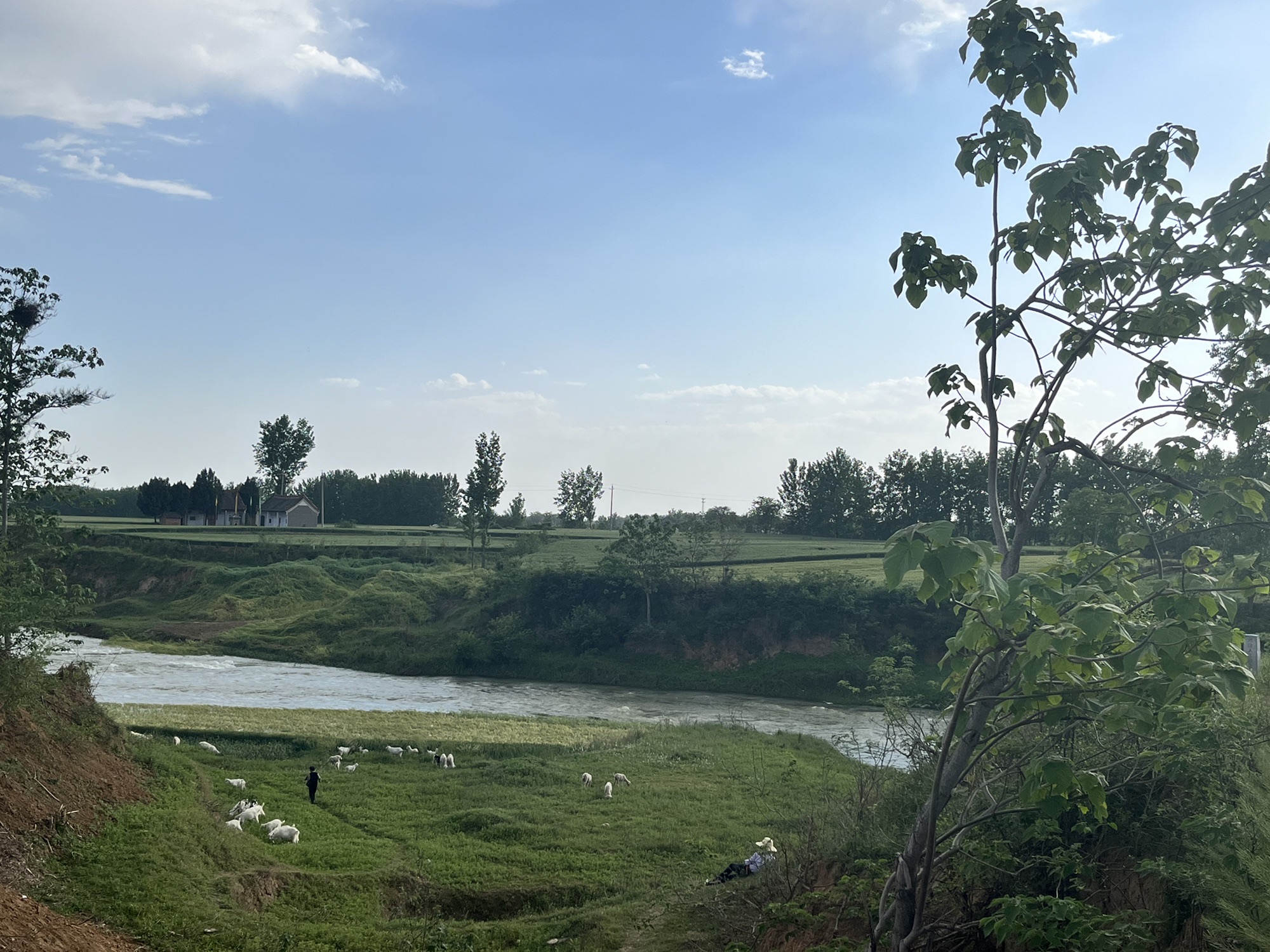 蓝河古渡景区旅行图片 2