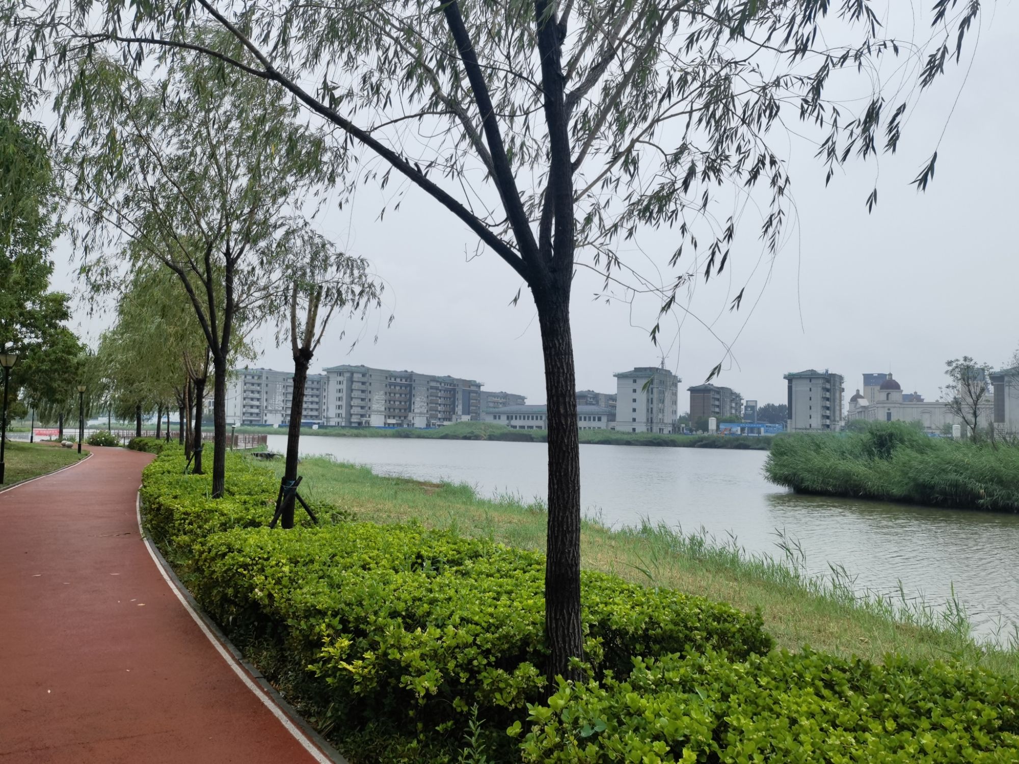 华新街健康主题公园旅行图片 1