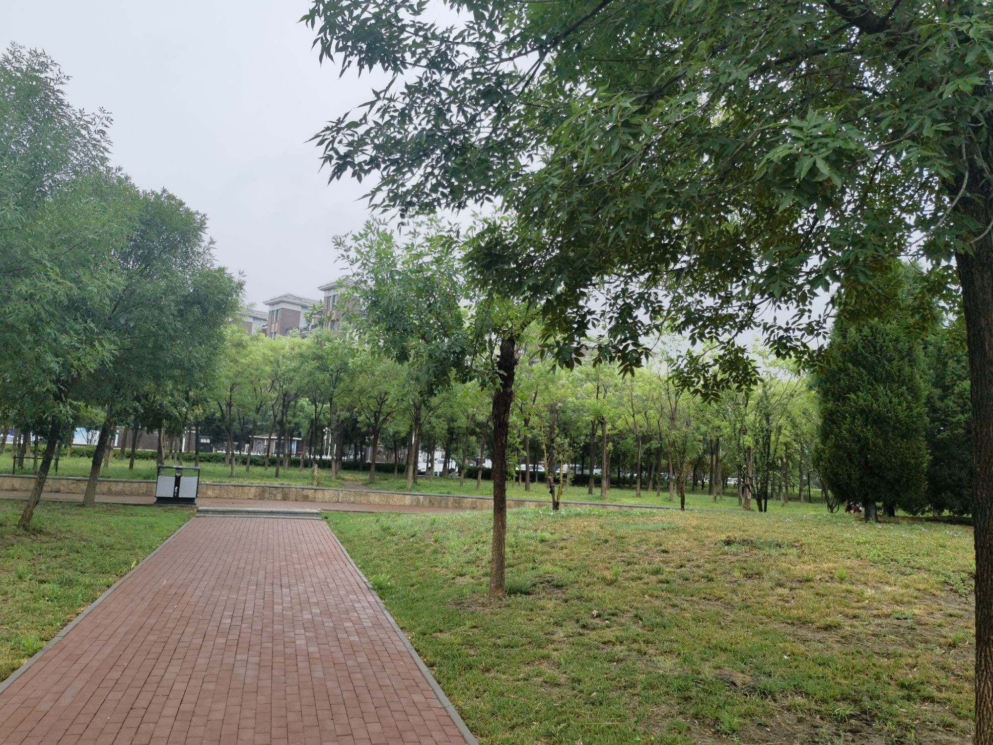华新街健康主题公园旅行图片 2