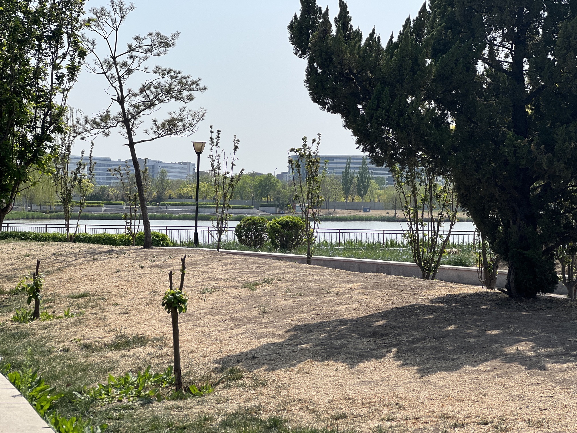 华新街健康主题公园旅行图片 2