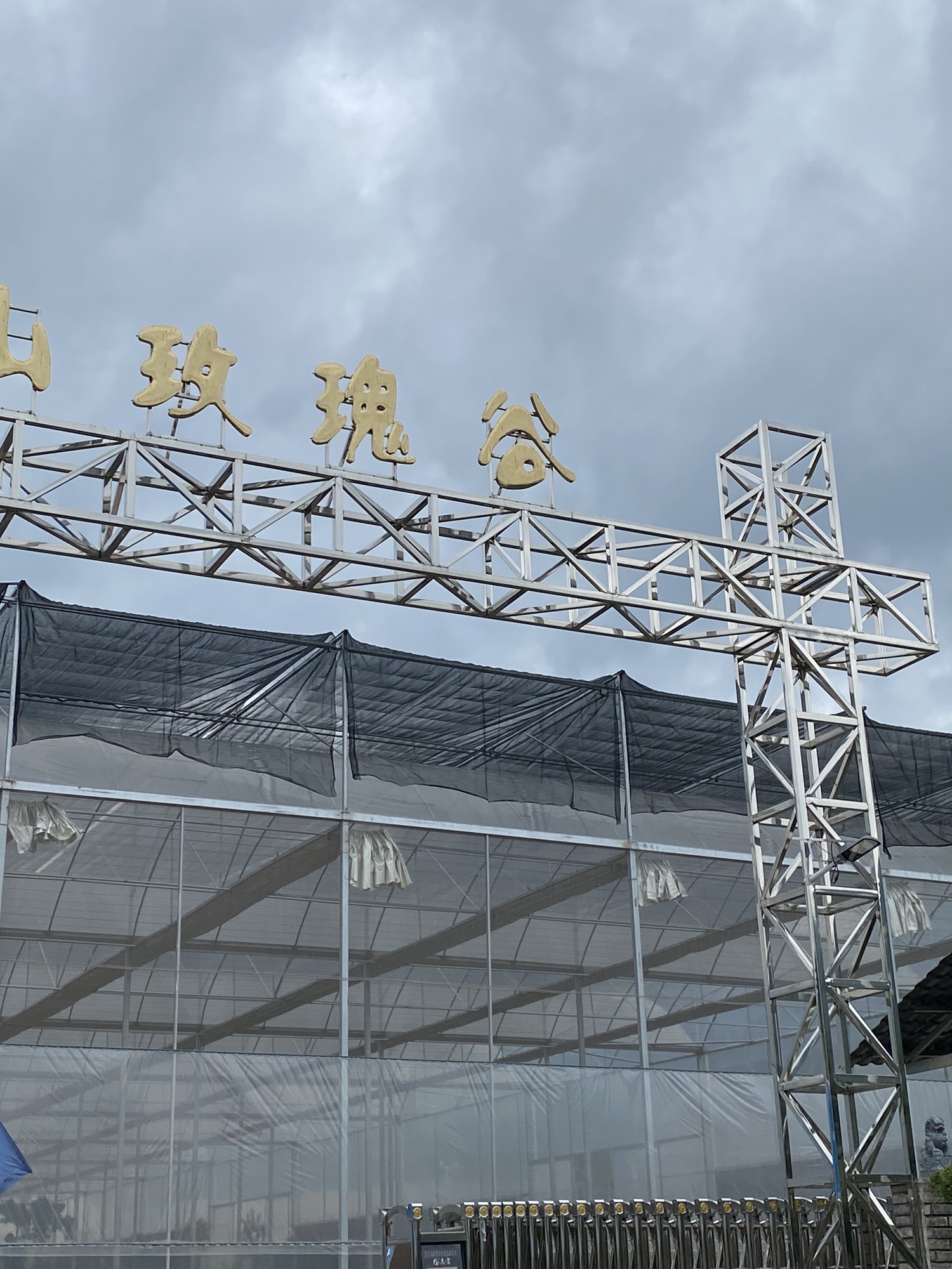 江山玫瑰谷旅行图片 3