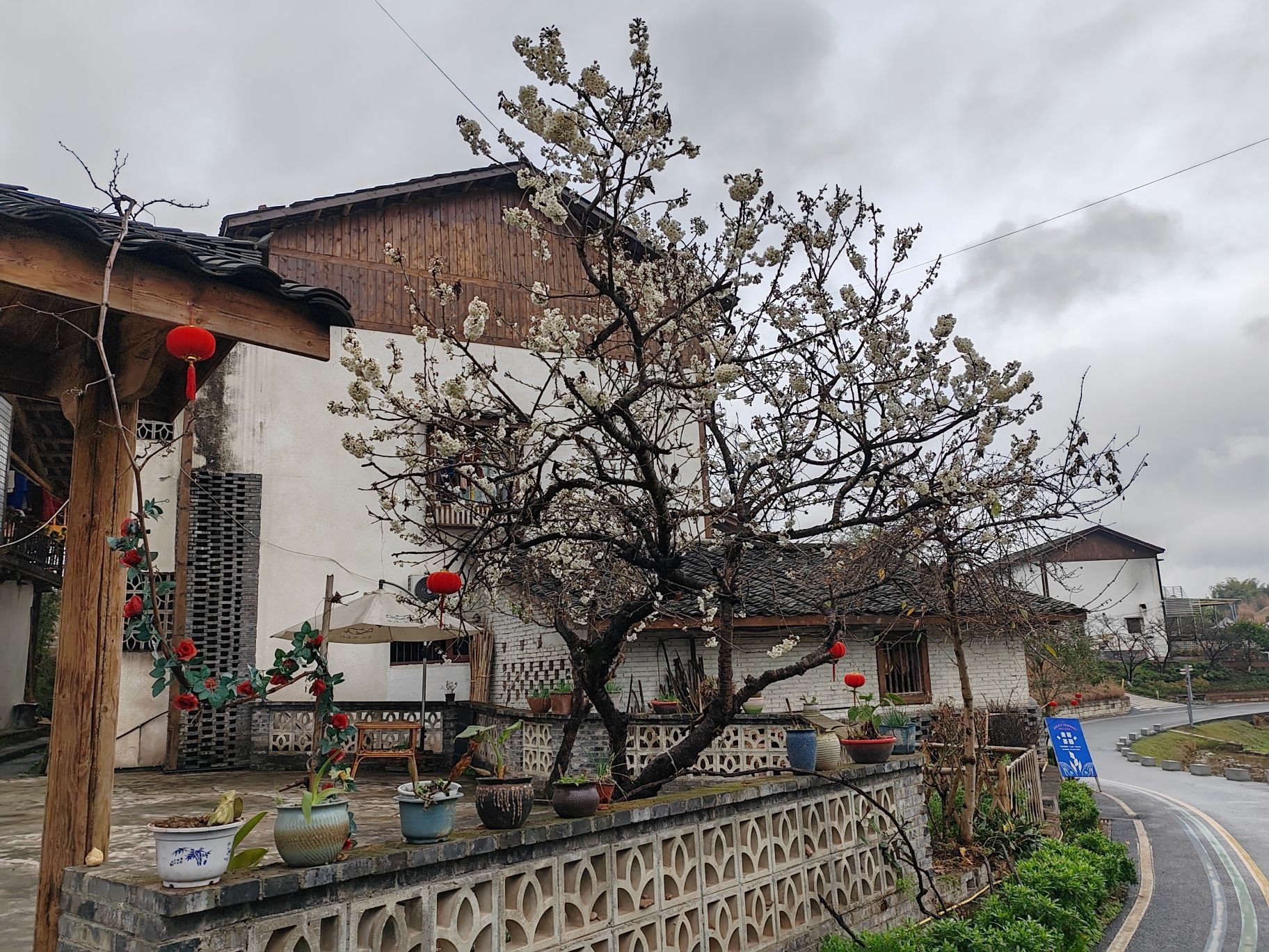 安石村旅行图片 1