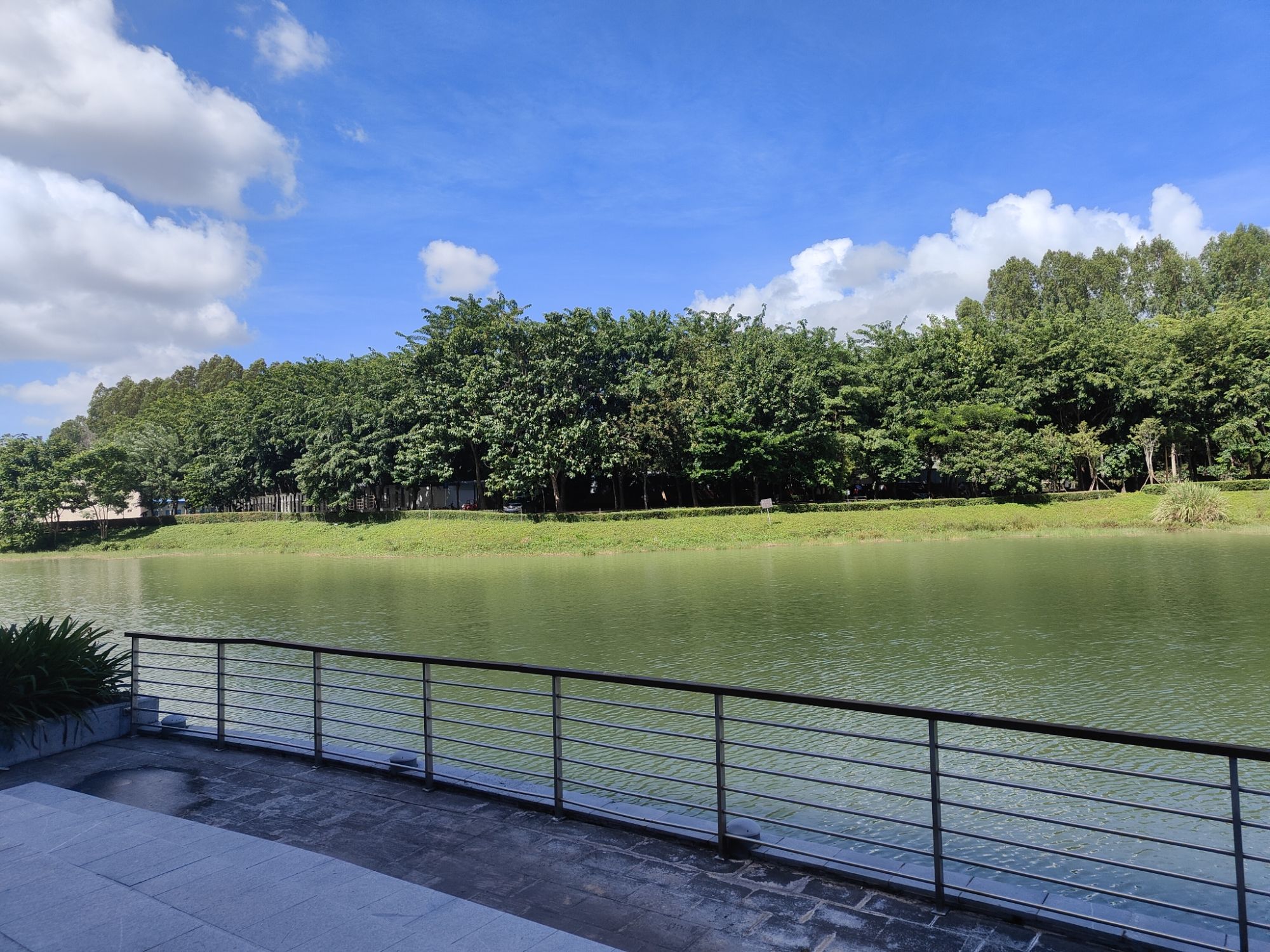 热海大天鹅湖
