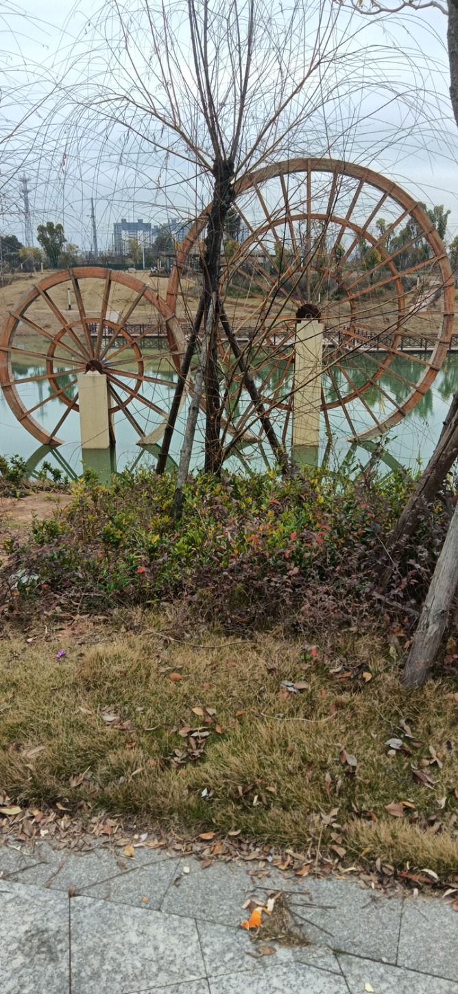 阳溪公园旅行图片 1