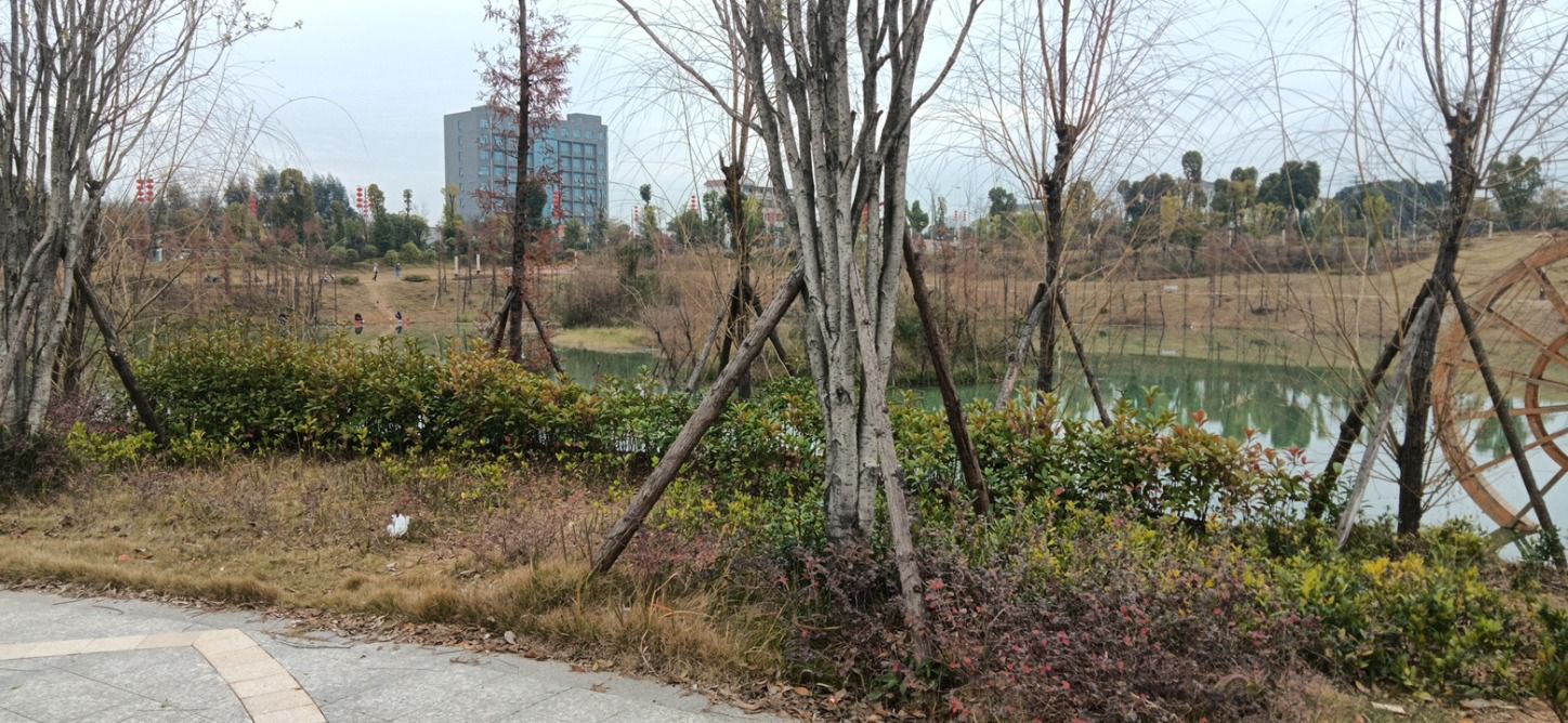 阳溪公园旅行图片 2